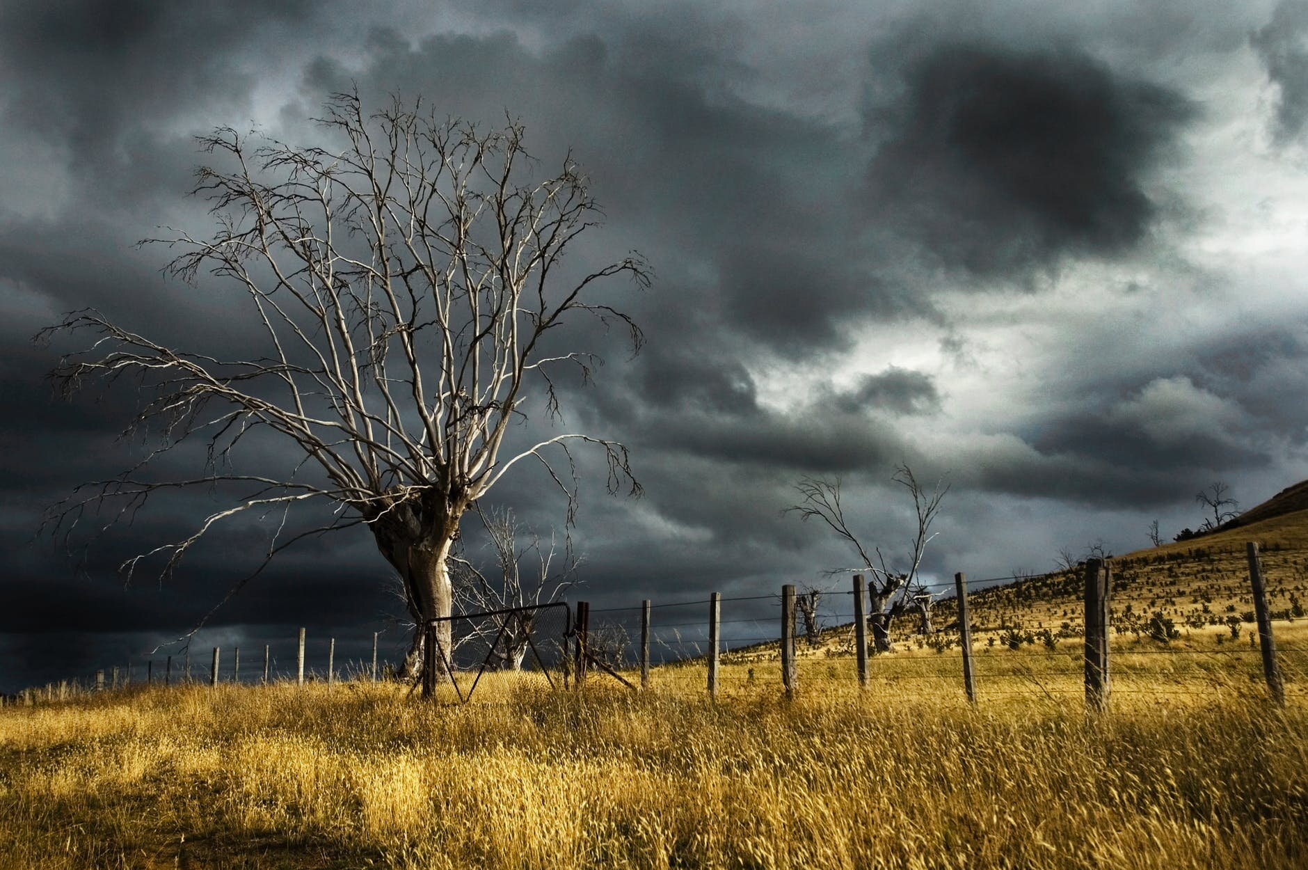 In The Eye of The Storm