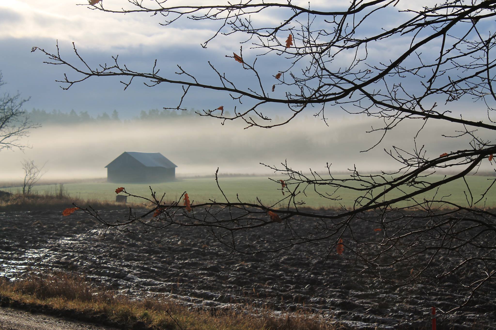 Maalaismaisemaa.jpg