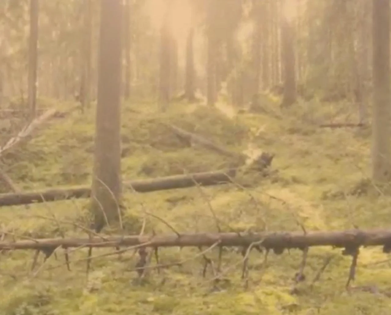 A journey of words and tunes in Espoo 26.11.2025