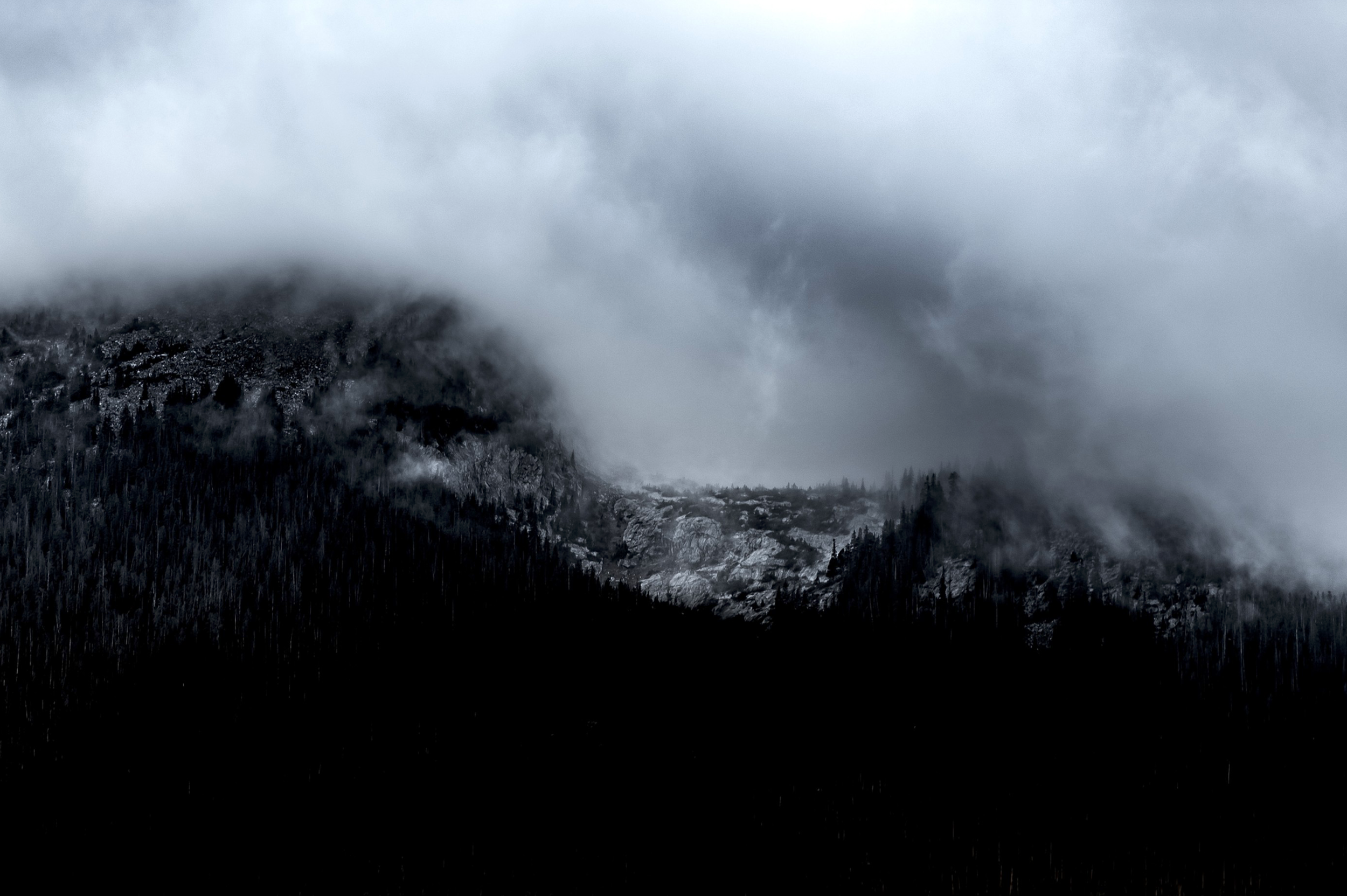 Cloud-covered mountain landscape with dark forest in the foreground and rugged rocks visible through the mist.