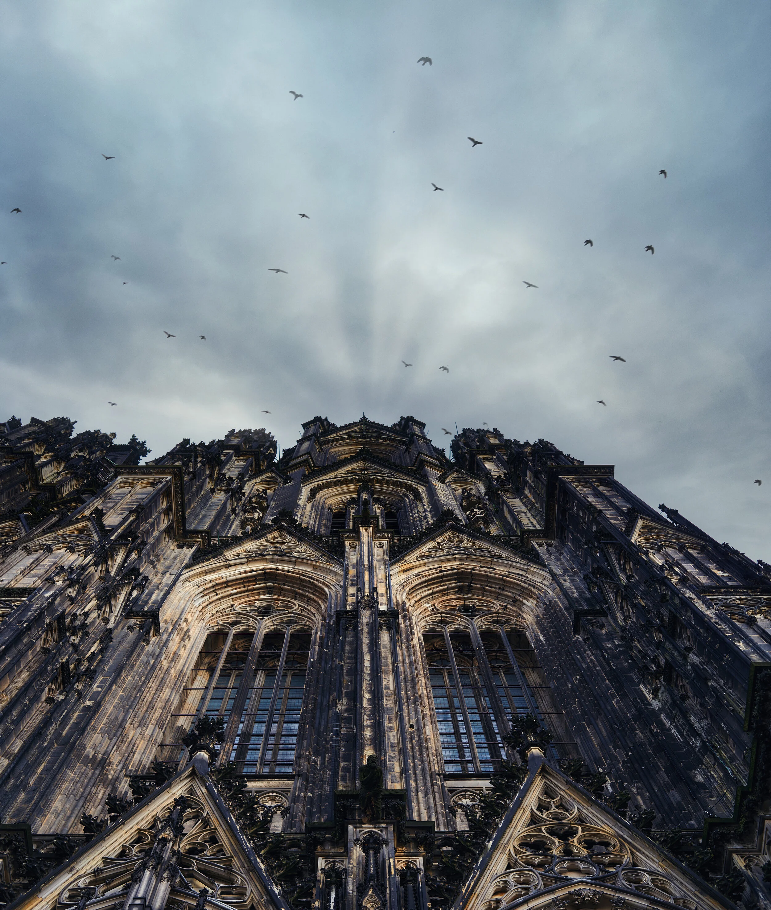 Looking up at a Gothic cathedral with intricate stone architecture and tall windows, with a cloudy sky and birds flying overhead.