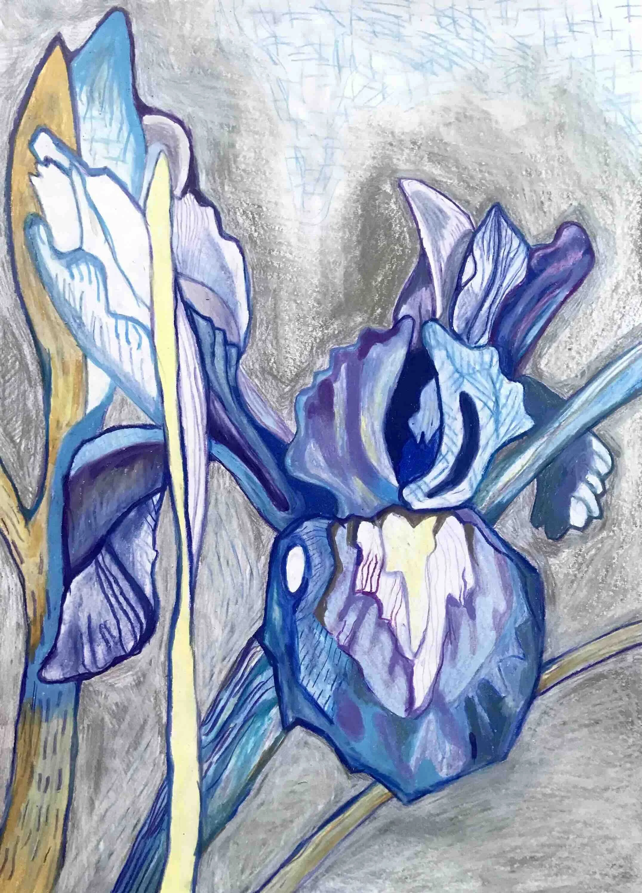Iris 1, oliekridt på papir, 58x42 cm