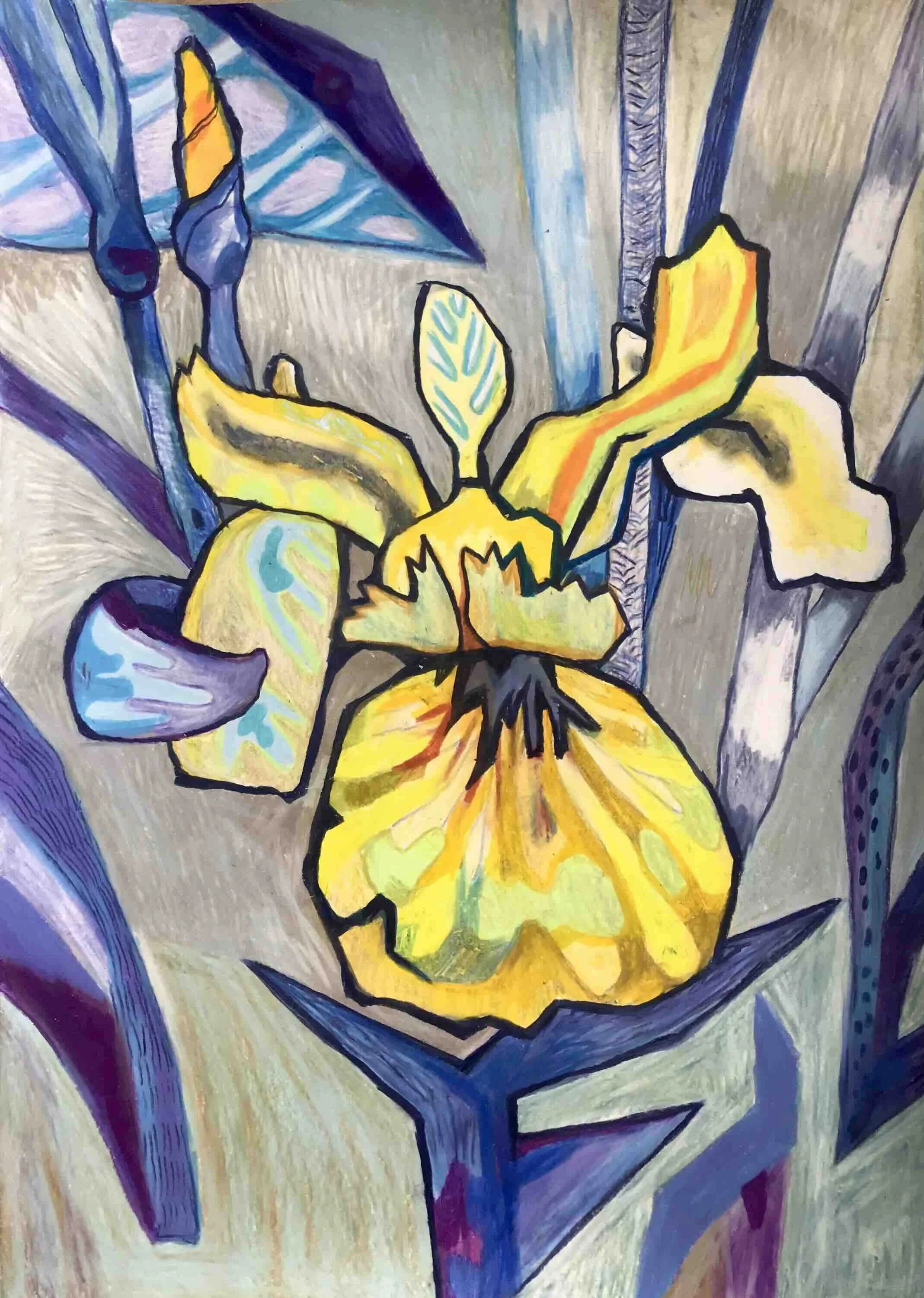 Iris 5, oliekridt på papir, 58x42 cm