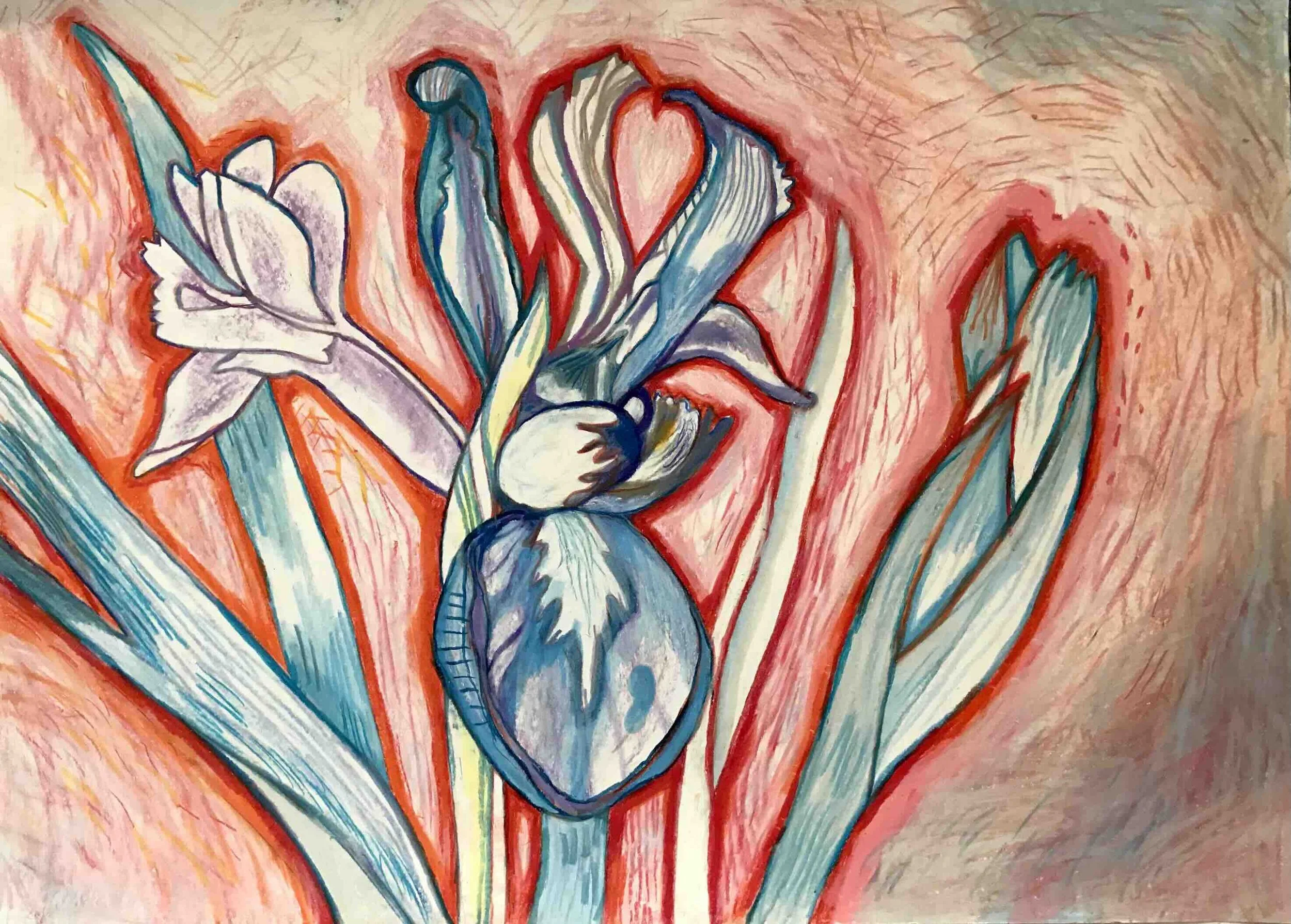 Iris 2, oliekridt på papir, 42x58 cm