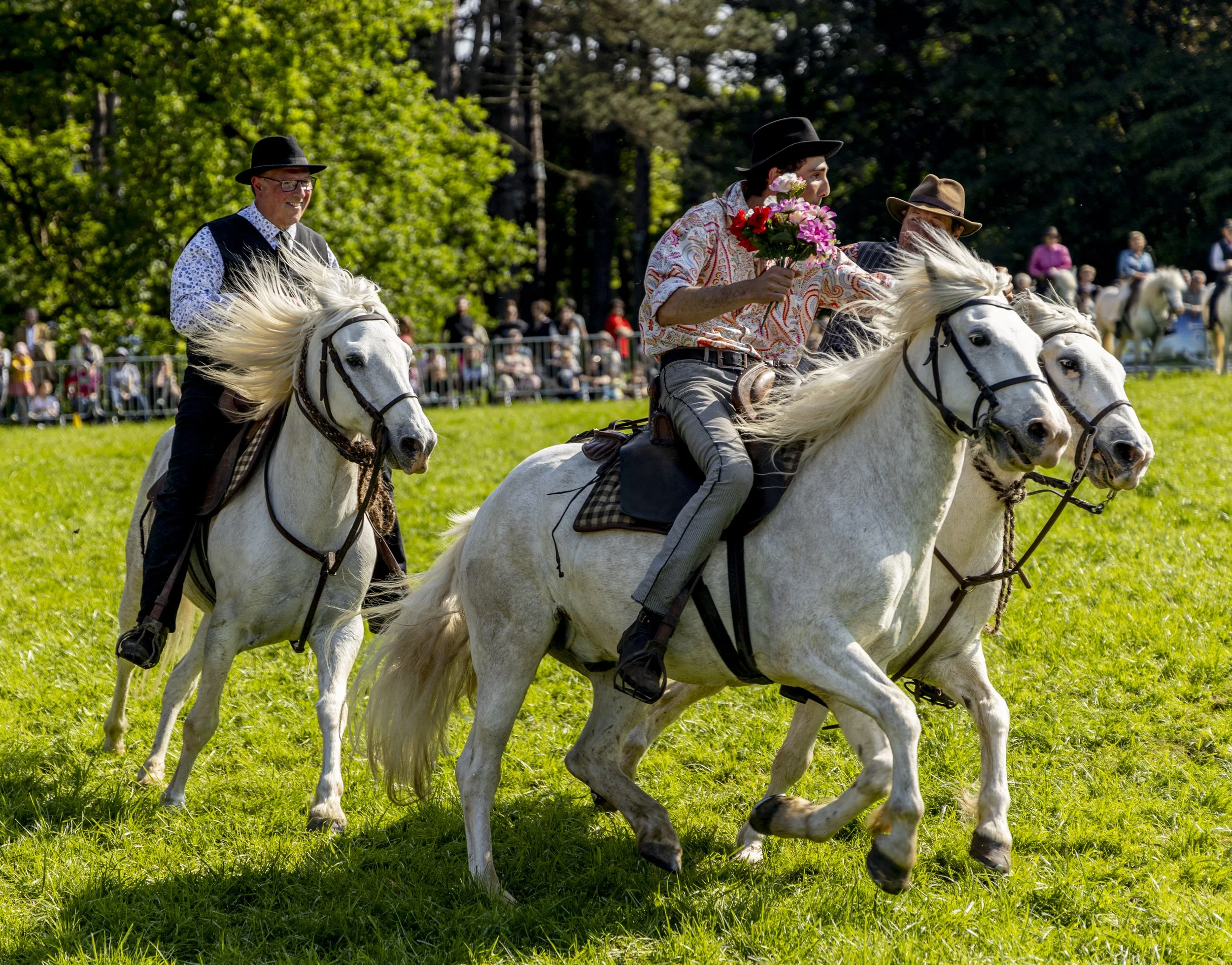 maniabilité équitation
