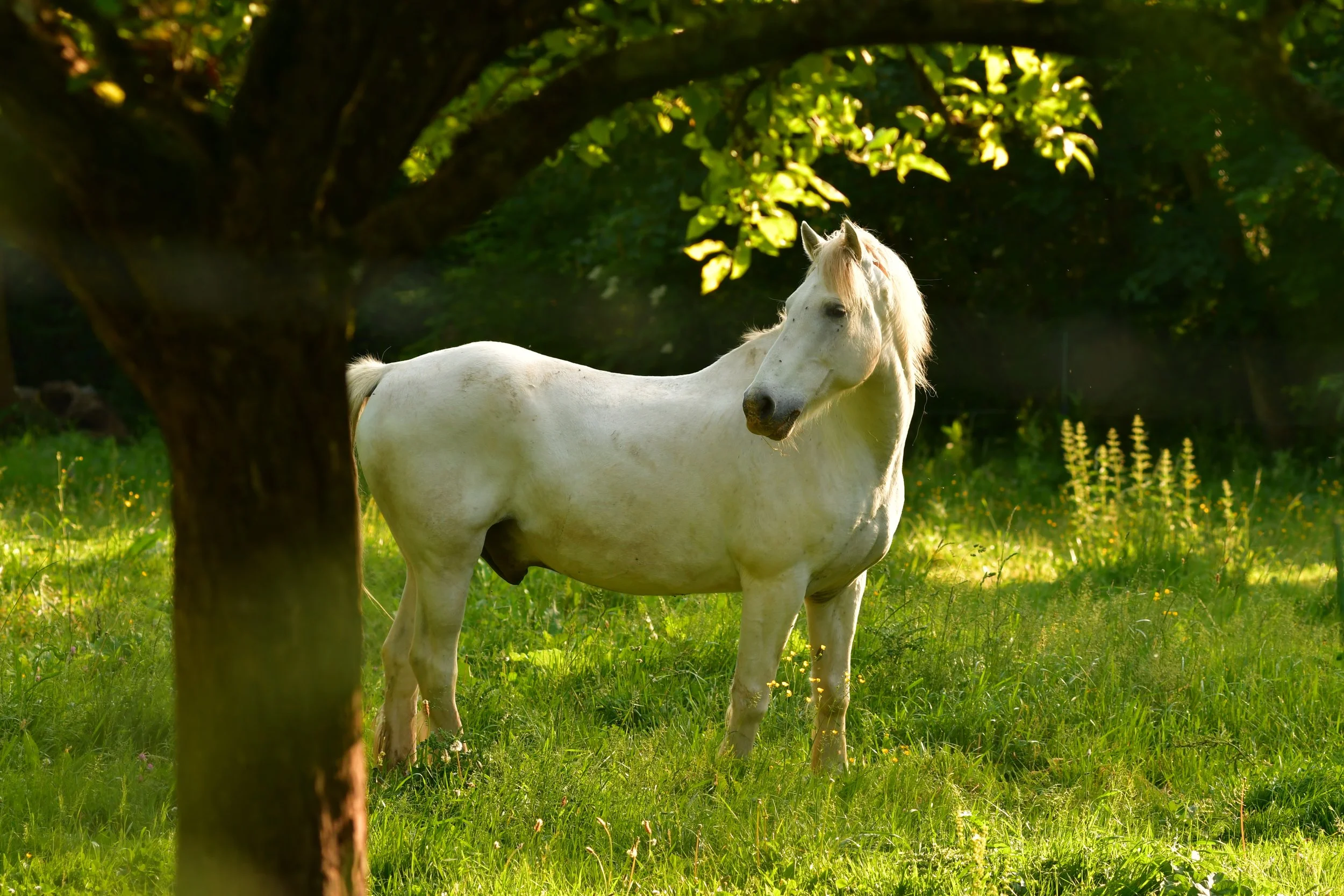 Retraite nature Ile de france