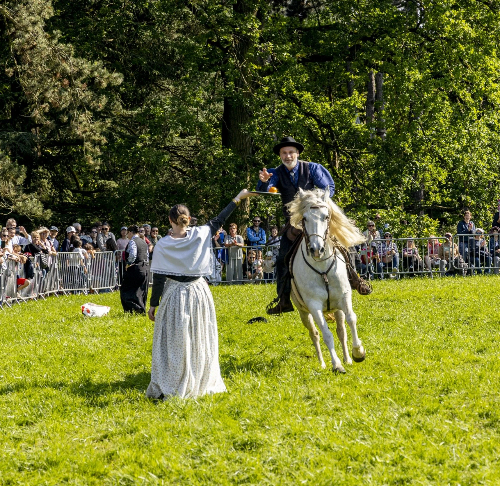 dressage équitation de travail