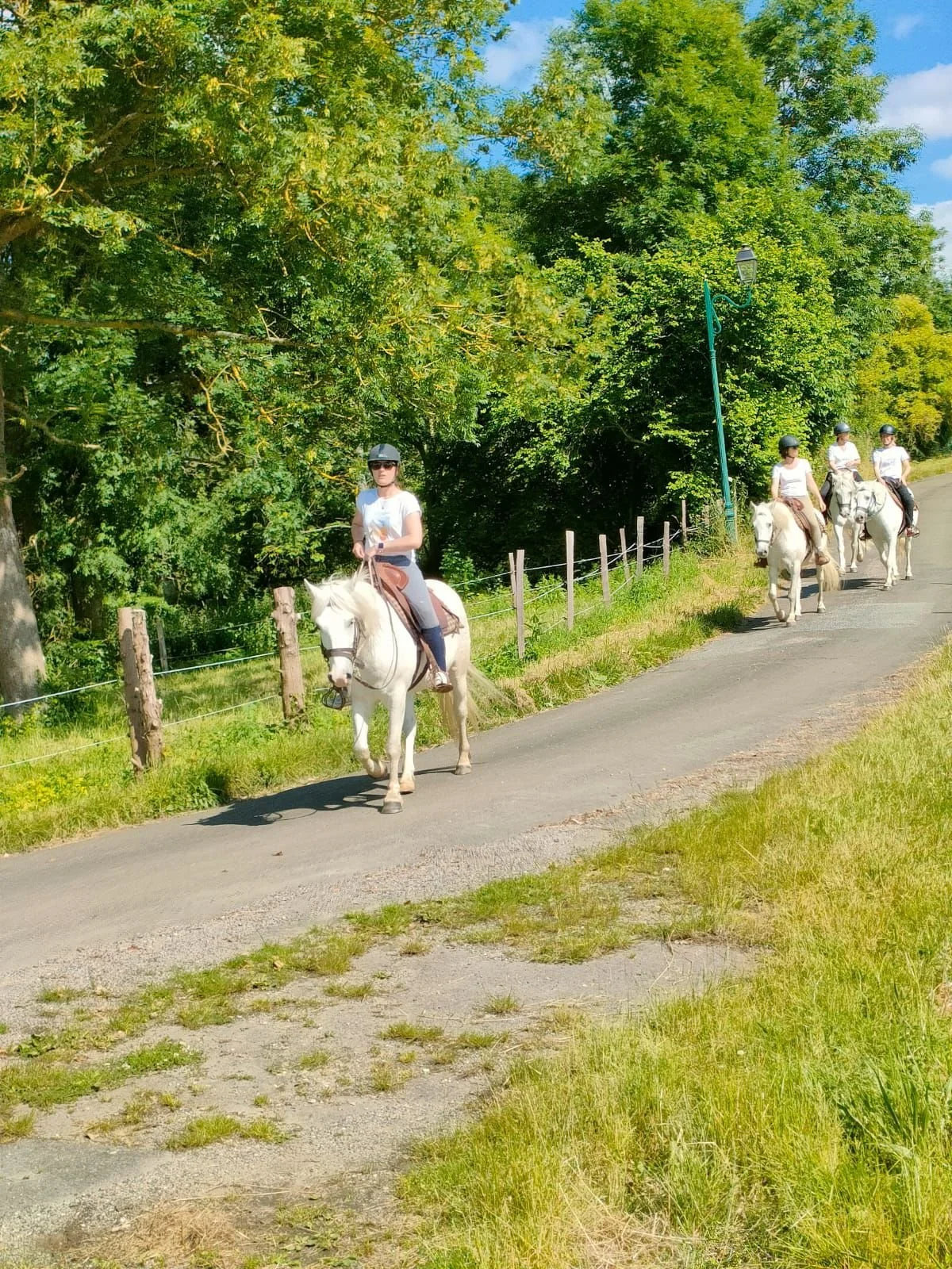 Randonnée équestre nuit en bivouac ile-de-france