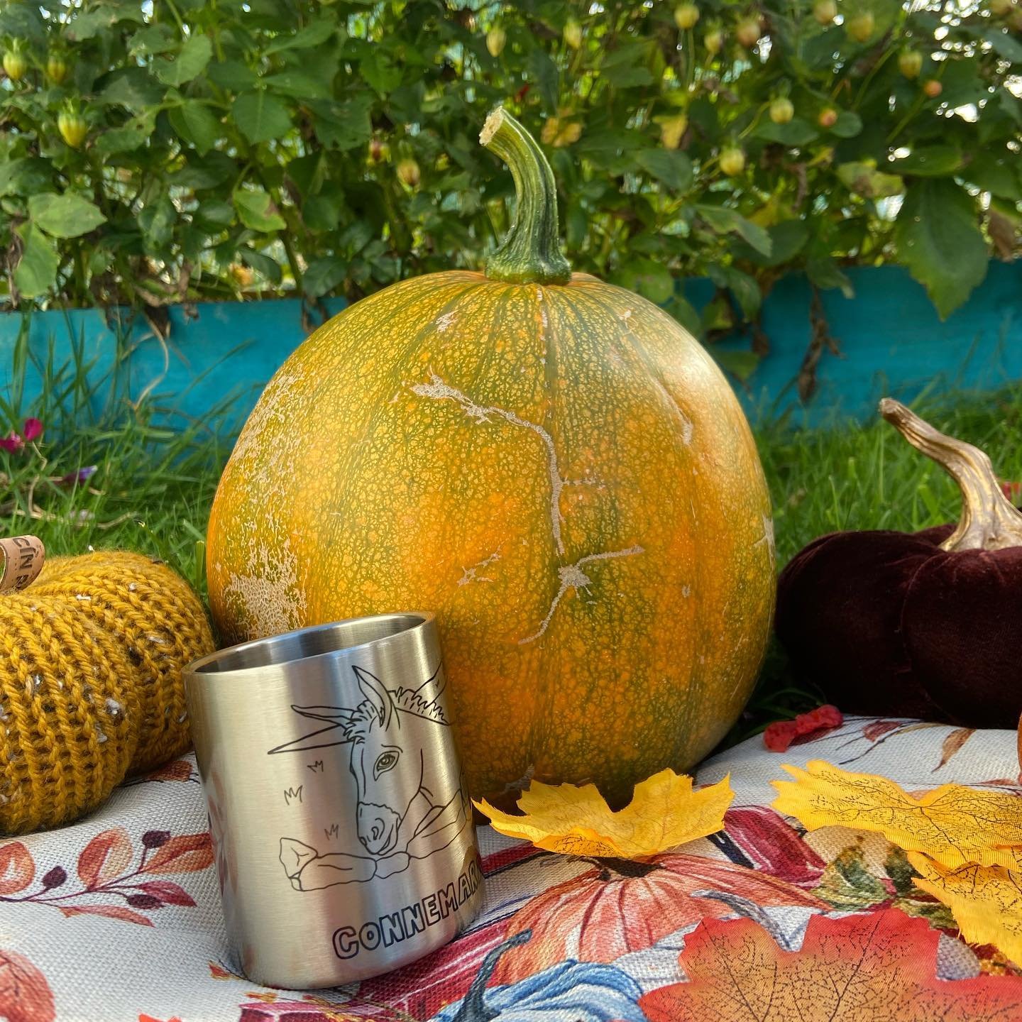 Happy Halloween 🎃👻💀 stay hydrated while trick or treating with the reusable Connemara Dreaming bottles and mugs! Go a step further and beat the sugar crash with a colouring session with Tractor Se&aacute;n 🚜

#artist #galway #local #ireland #conn