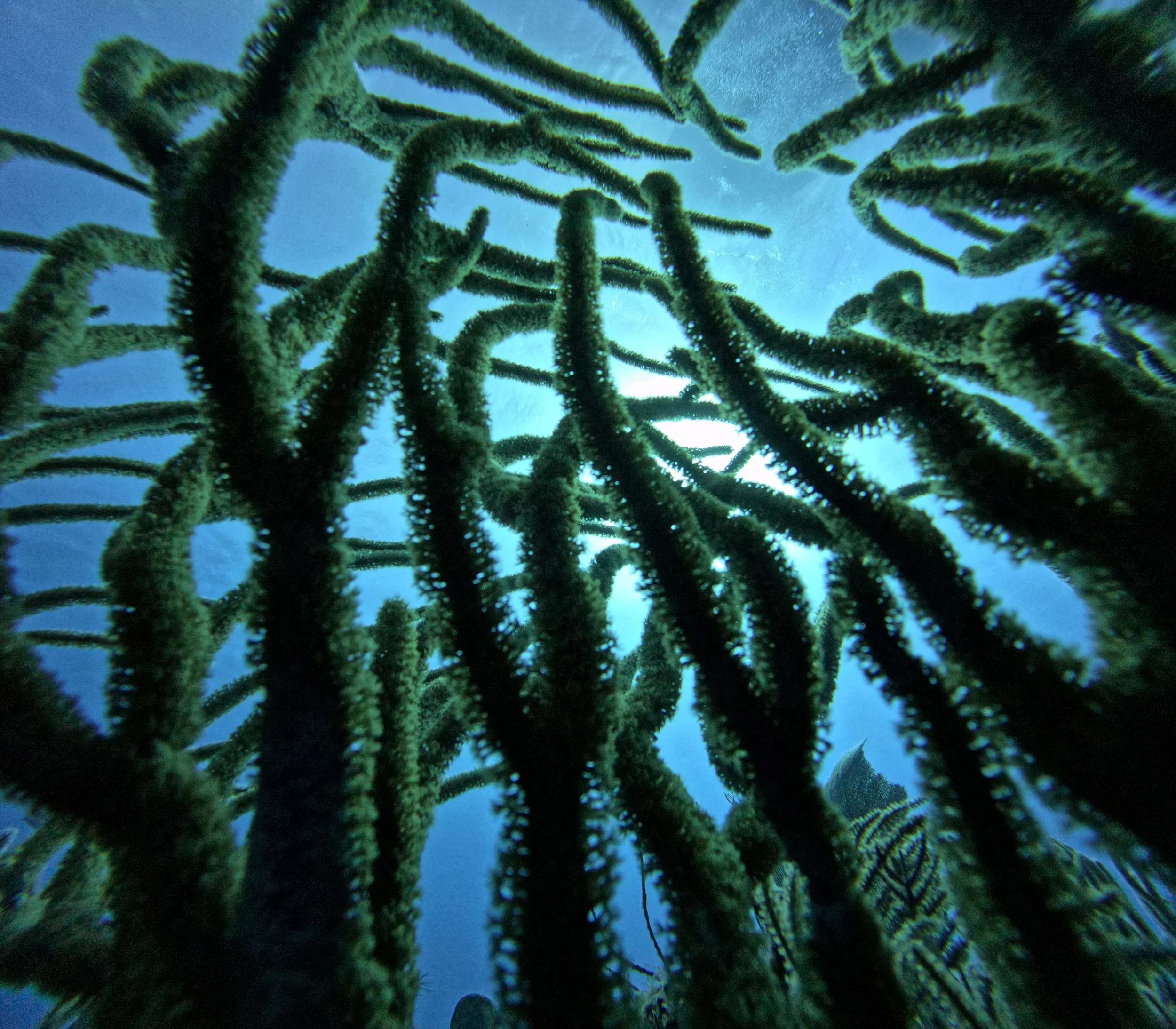 G0113029.JPG