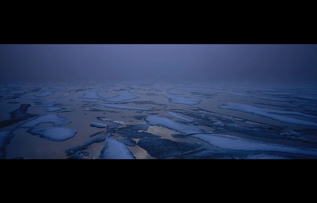 XPAN 50.jpg