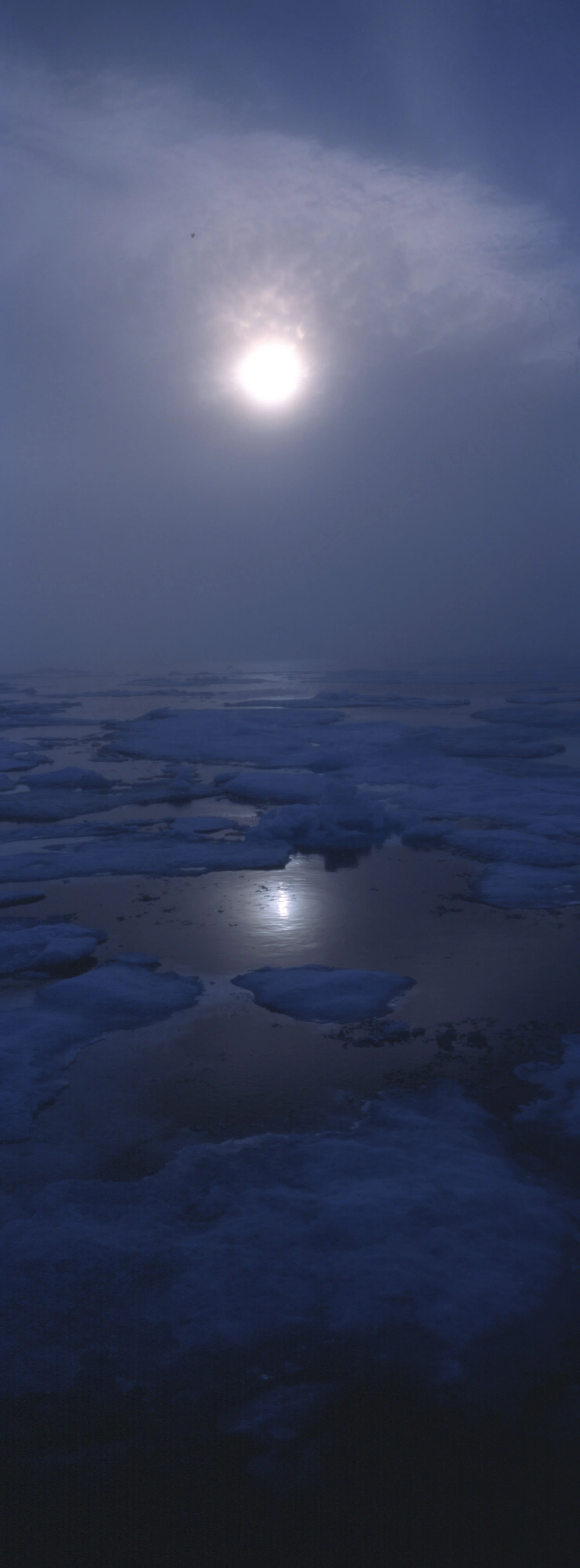 arctic_pack_ice_pan_vert_1 copy.jpg