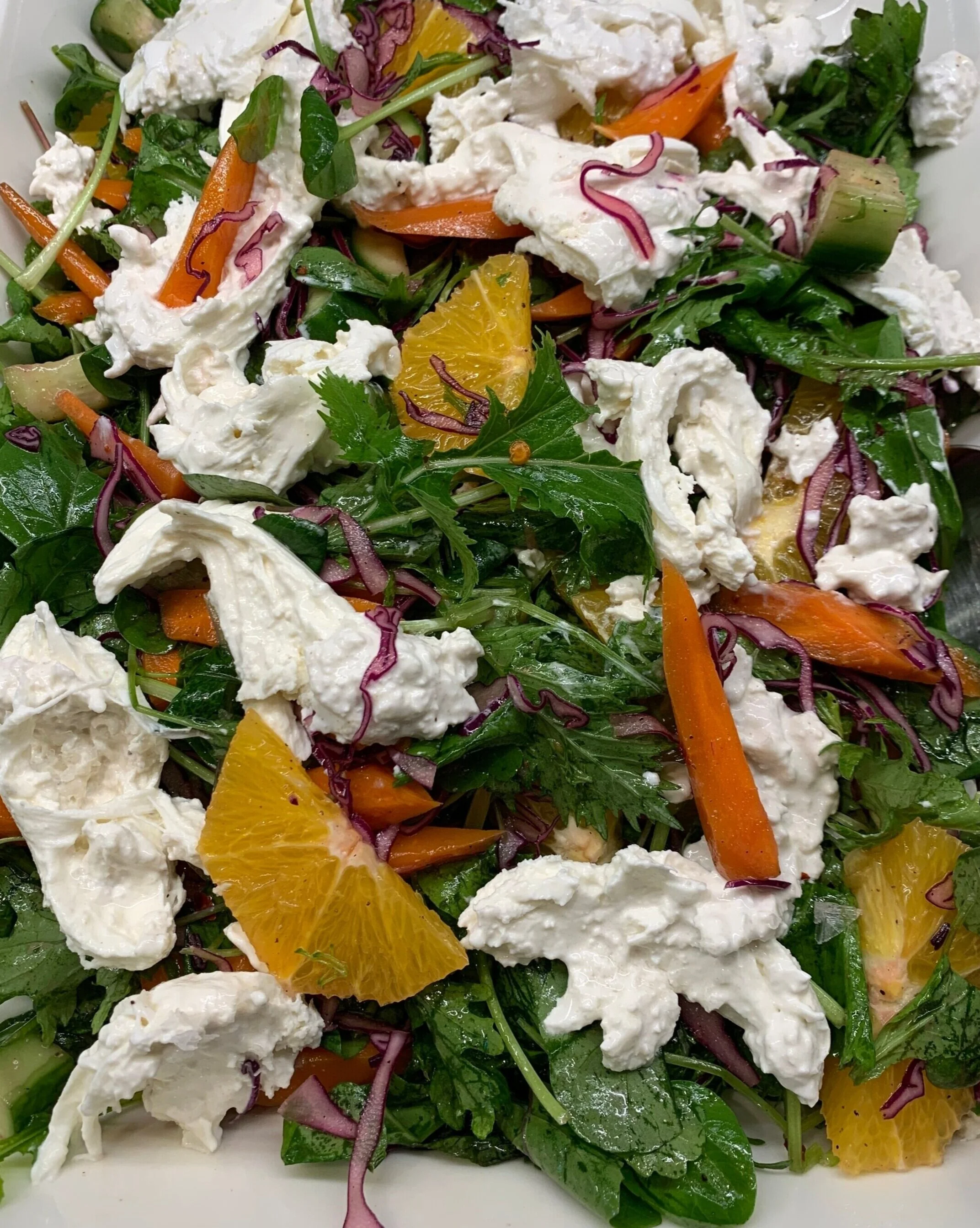 EATS: Citrus, Greens, + Burrata Salad 