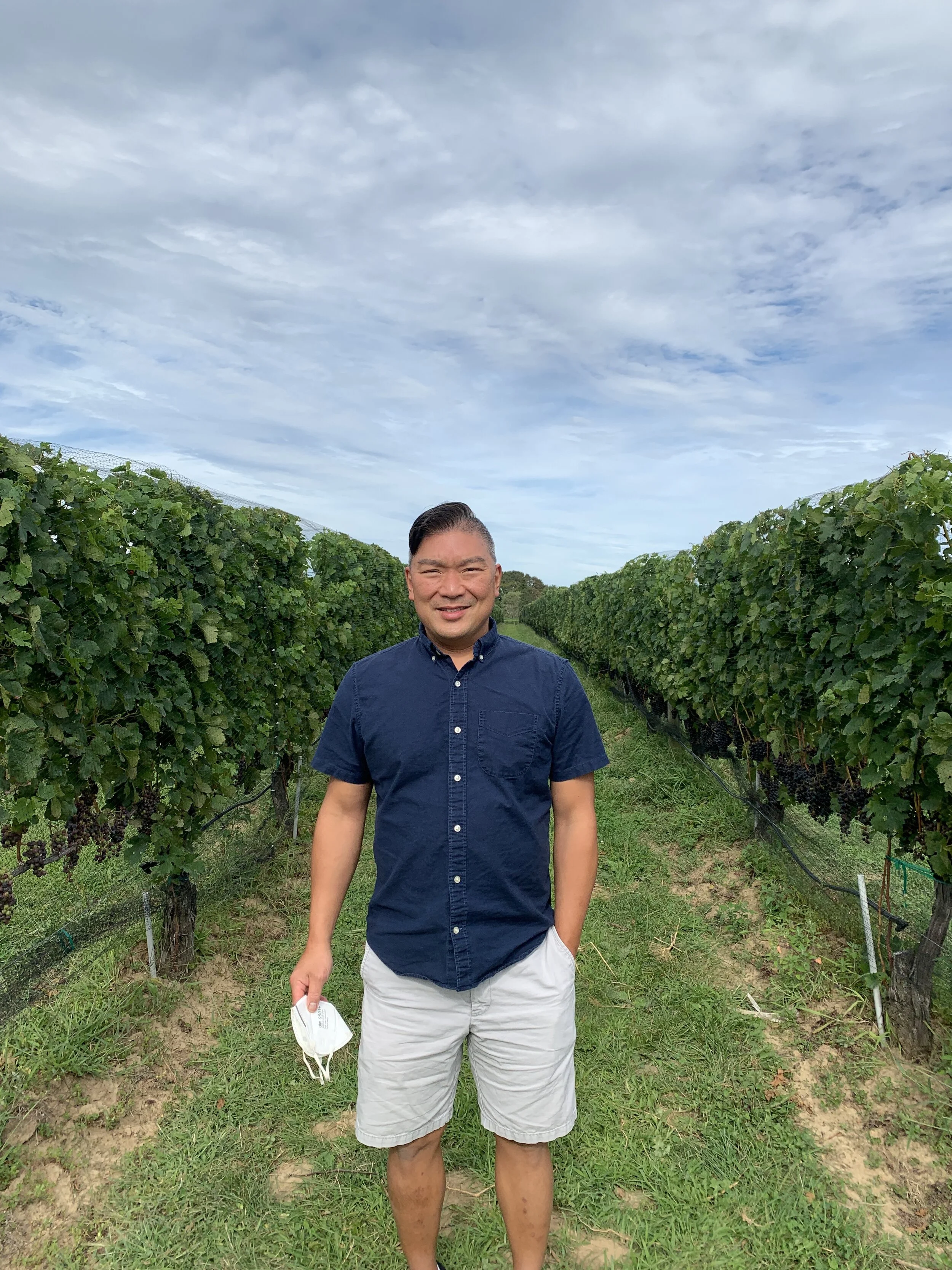 Hamptons Guide: Wölffer Estate Vineyards