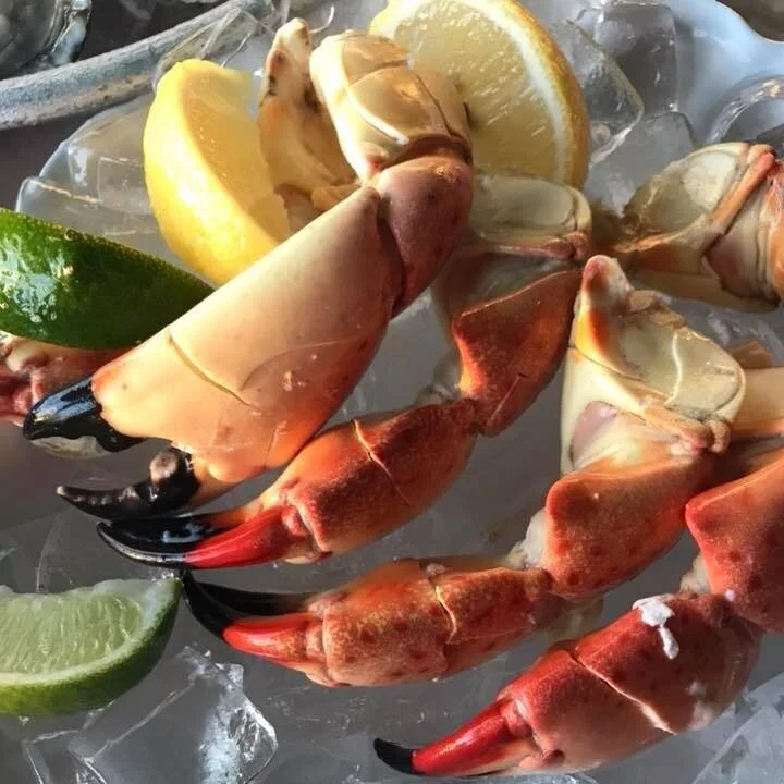 Miami Guide: Monty's Sunset on South Beach