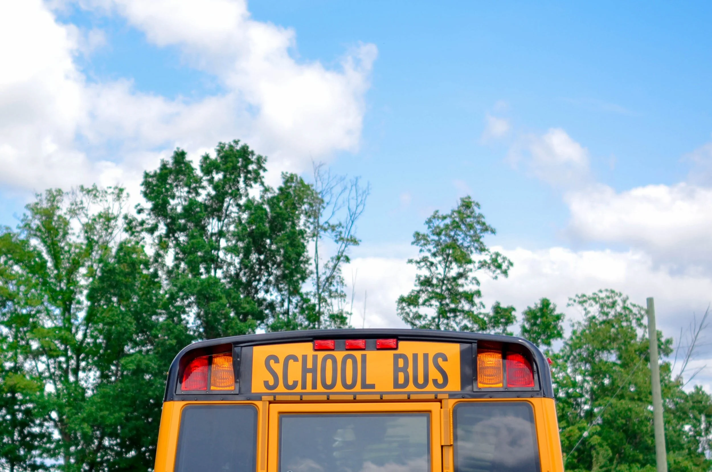 Back to School: School Lunch Ideas