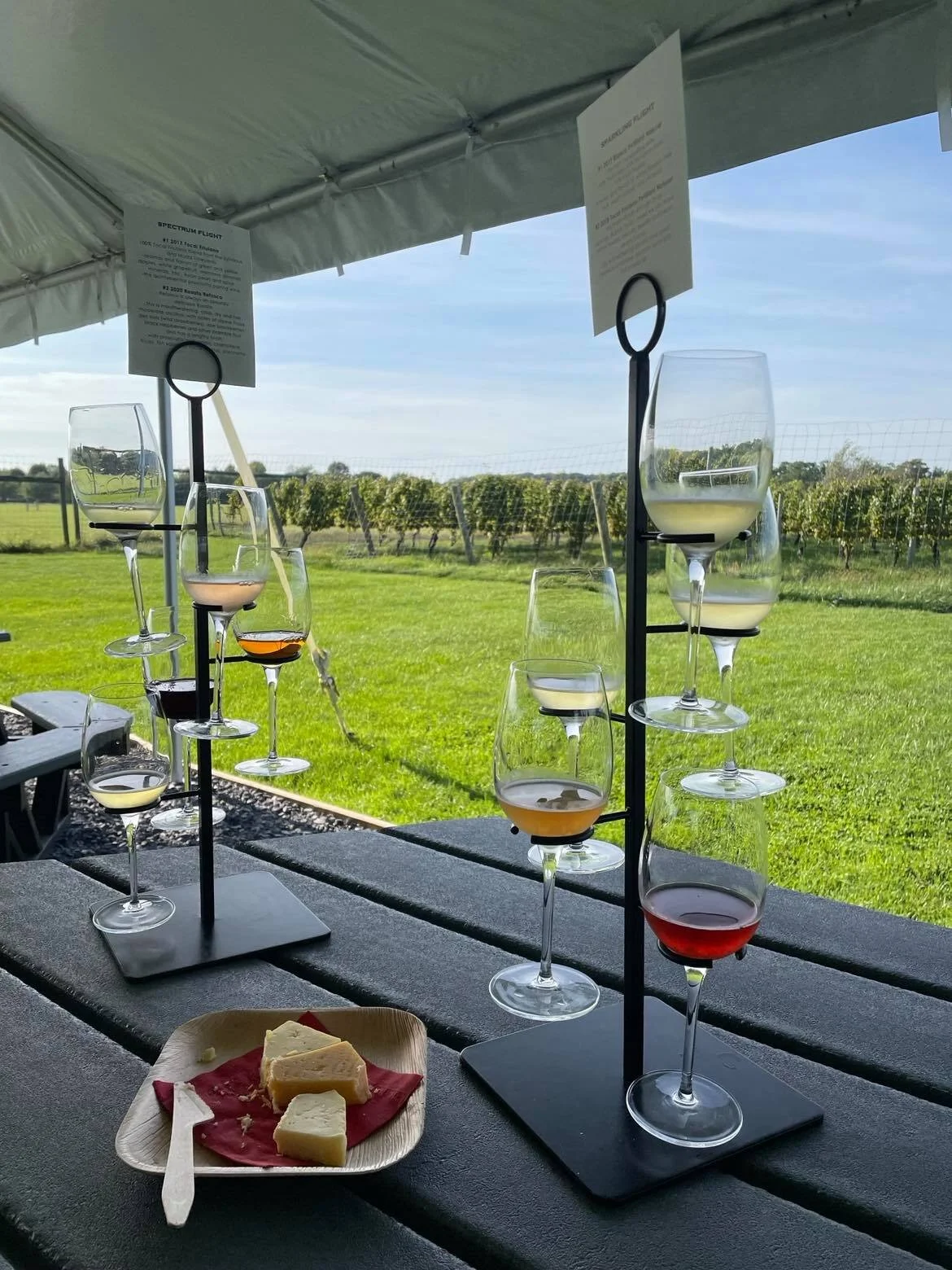 Sip and Savor: Channing Daughters Winery