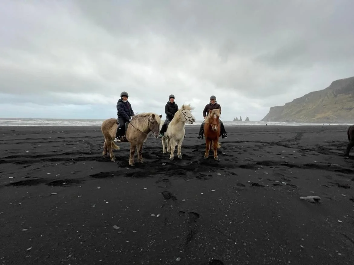 Iceland Guide: Seljalandsfoss, Skogafoss, Reynisfjara