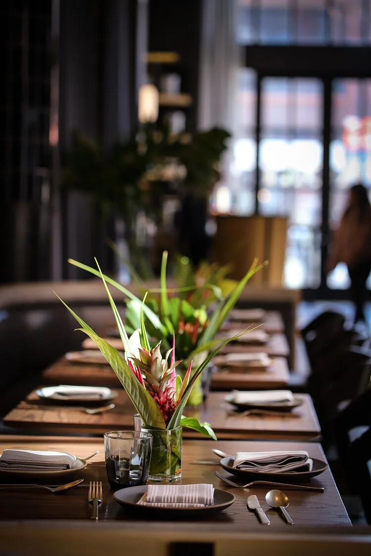 Chicago Guide: Proxi