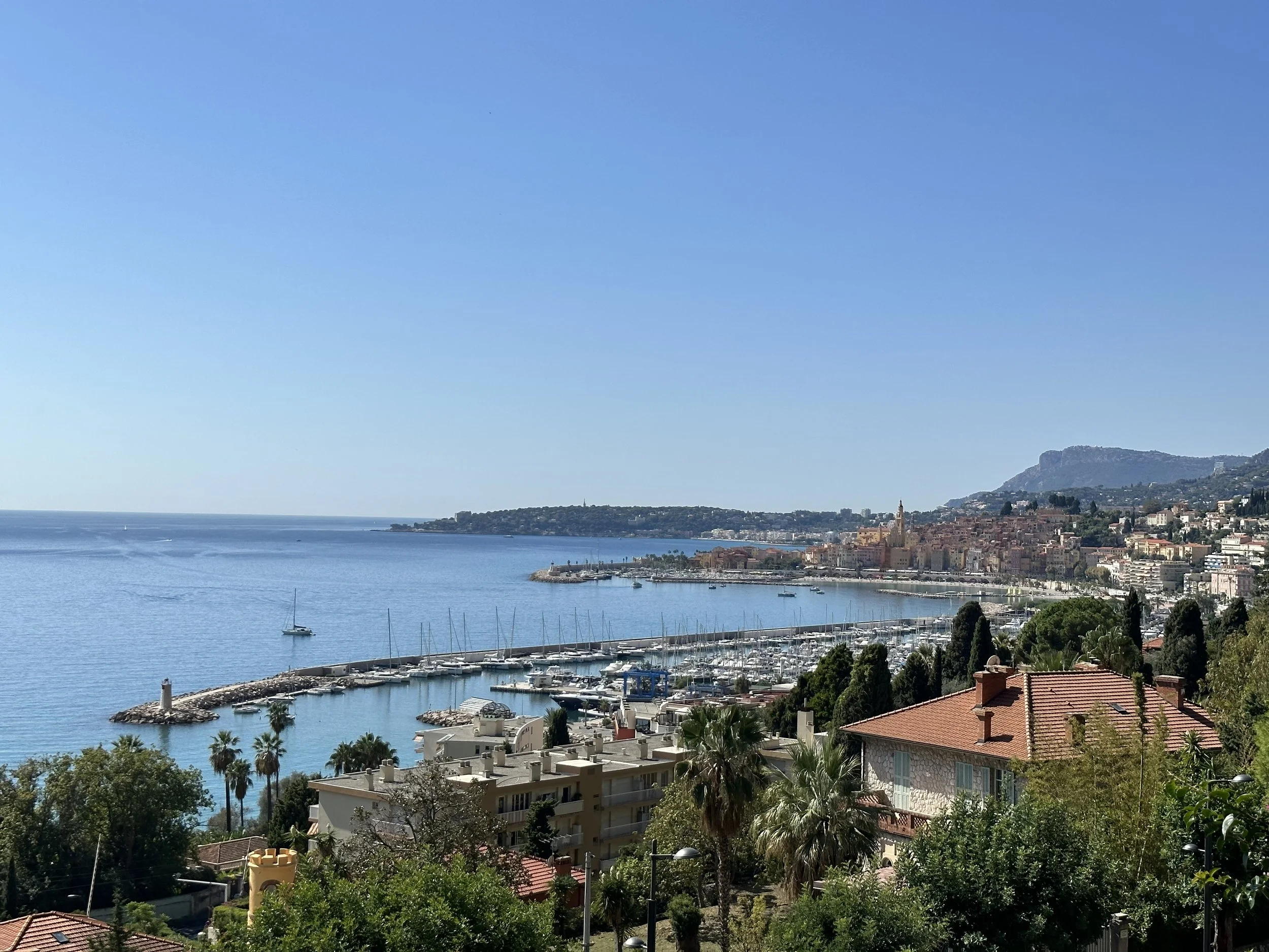 A Culinary Odyssey: Dining at Mirazur Restaurant