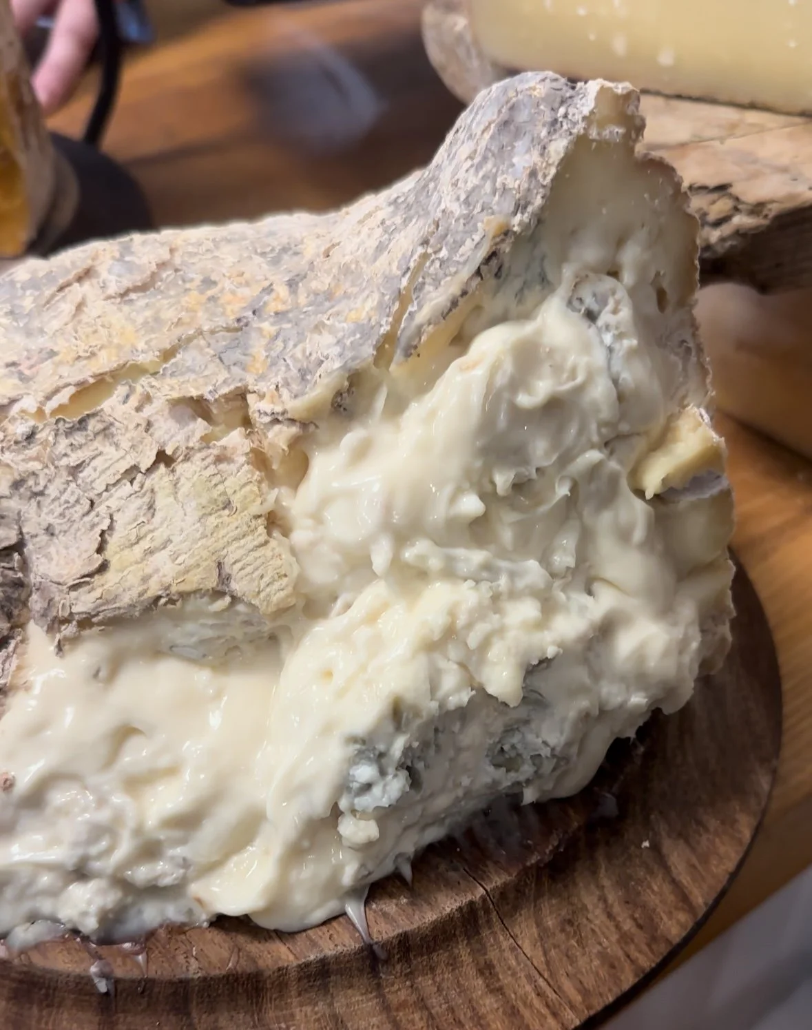 The Ultimate Cheese Guide for Holiday Entertaining