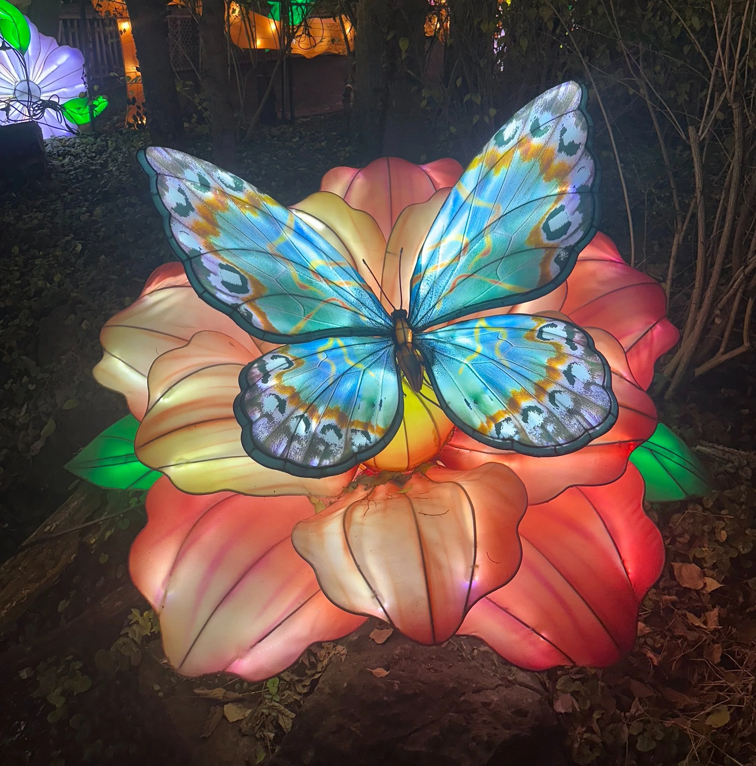 Nashville Guide: Zoolumination