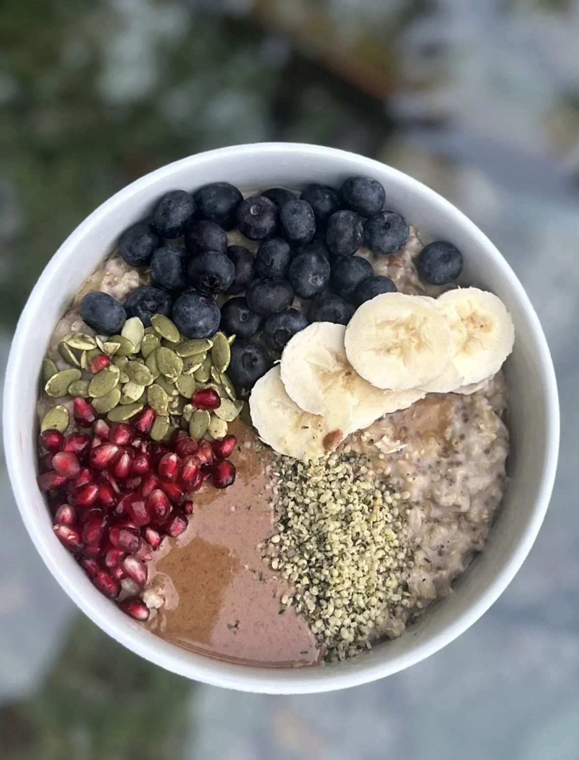 Antioxidant Rich Breakfast Bowl