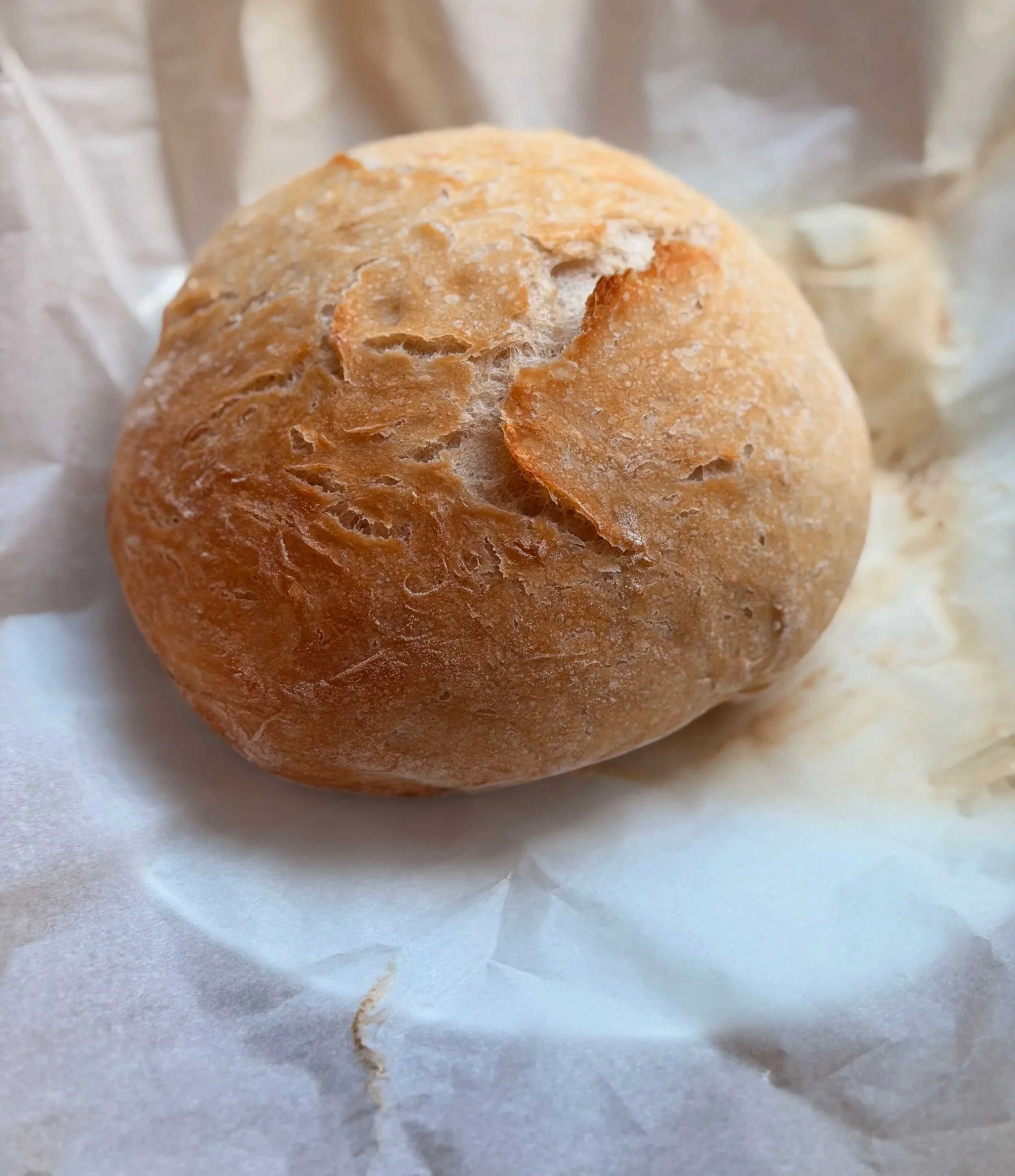 Perfect No-Knead Bread