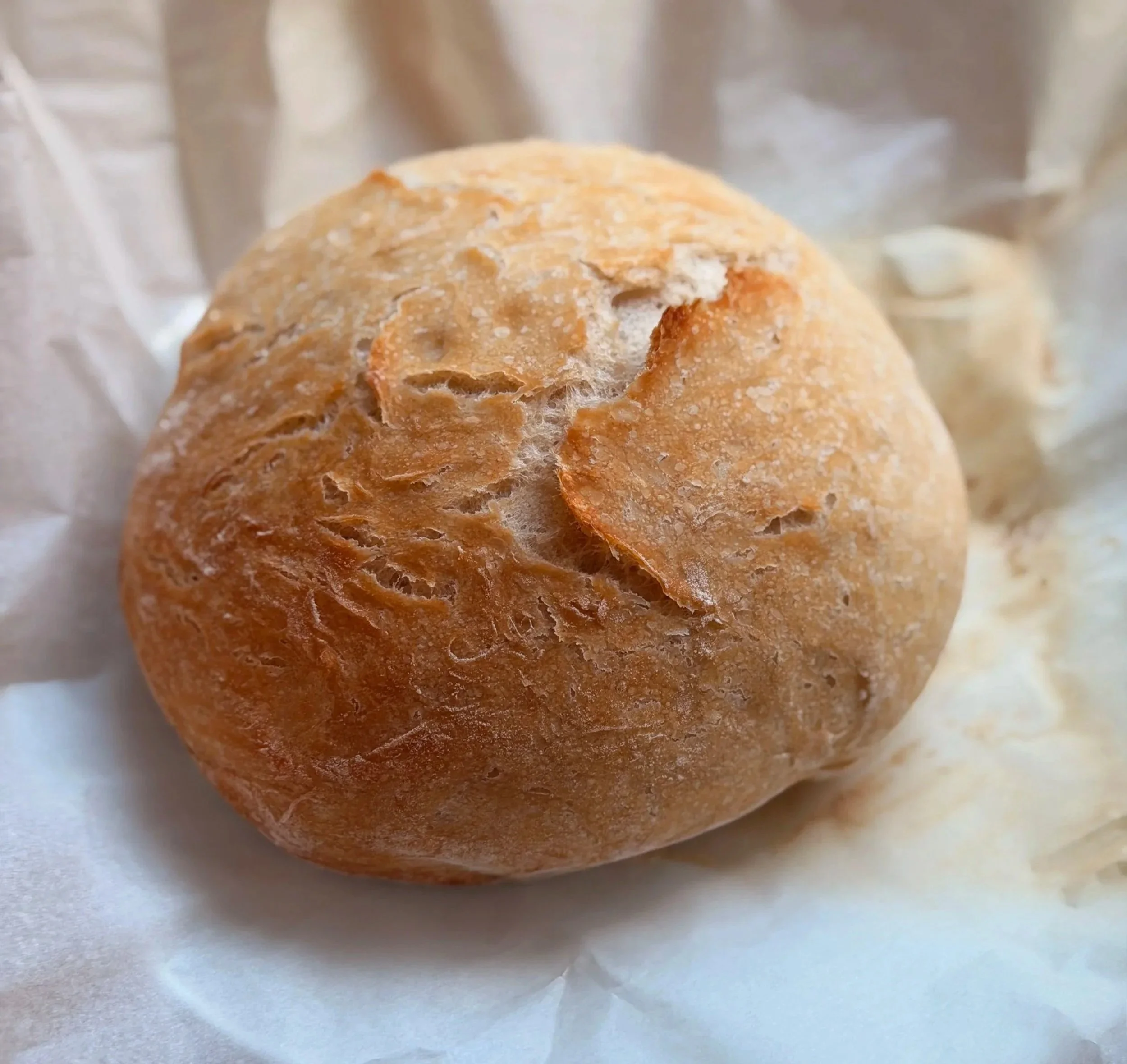 Perfect No-Knead Bread