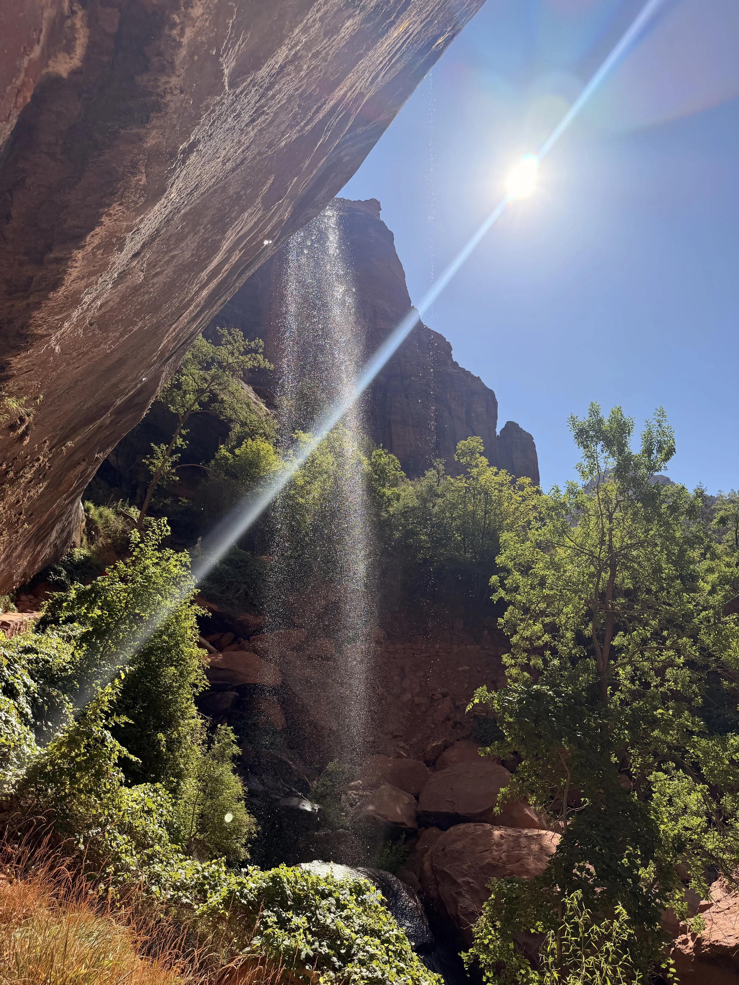 Day Trip from Las Vegas to Zion National Park