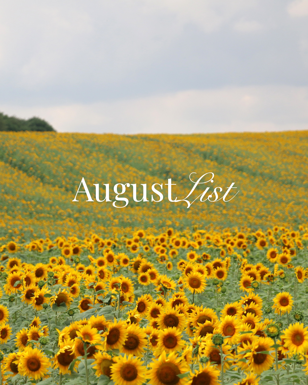 17 Things to Do in August