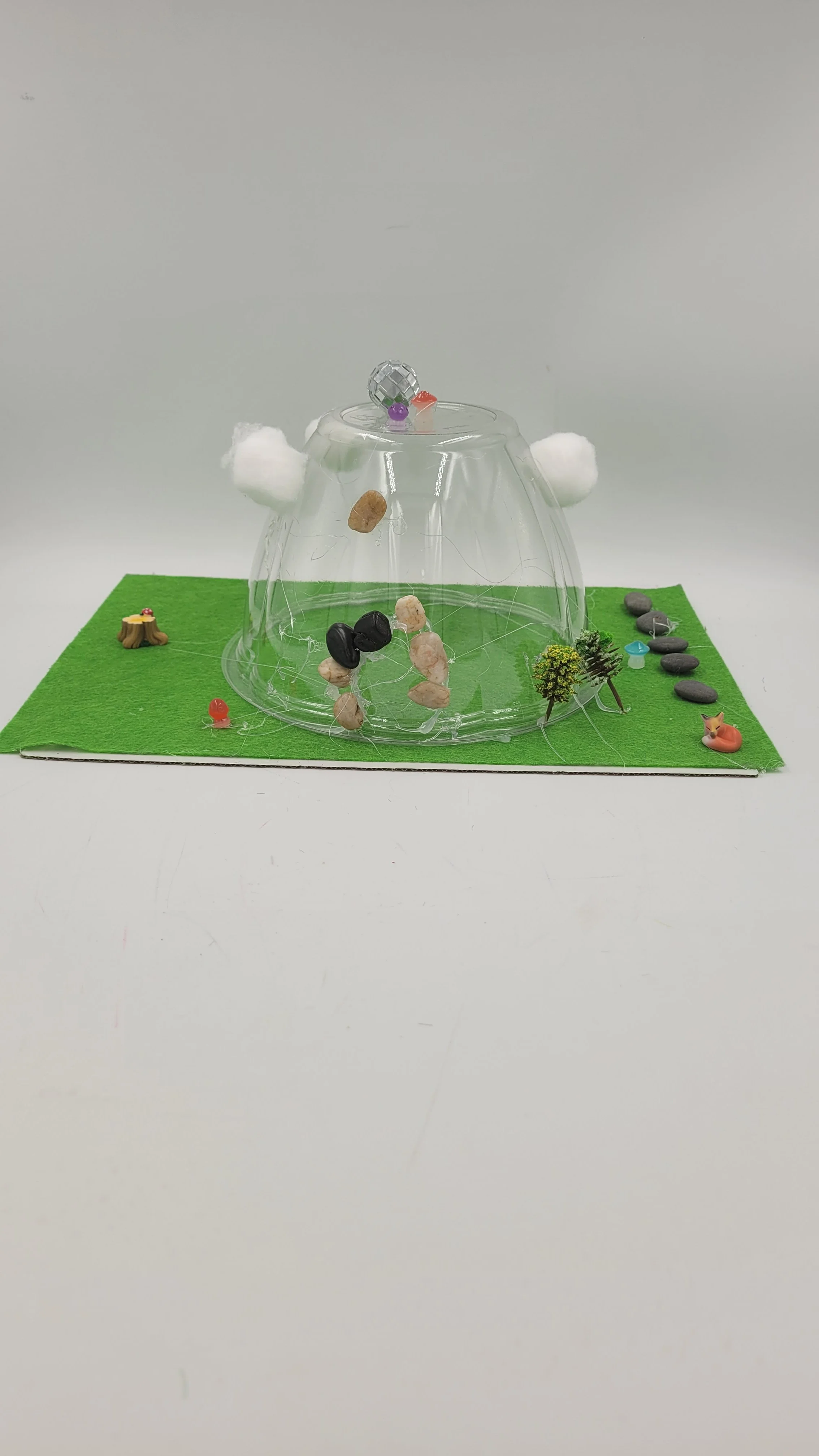 biodomehomes20260610_170029.jpg