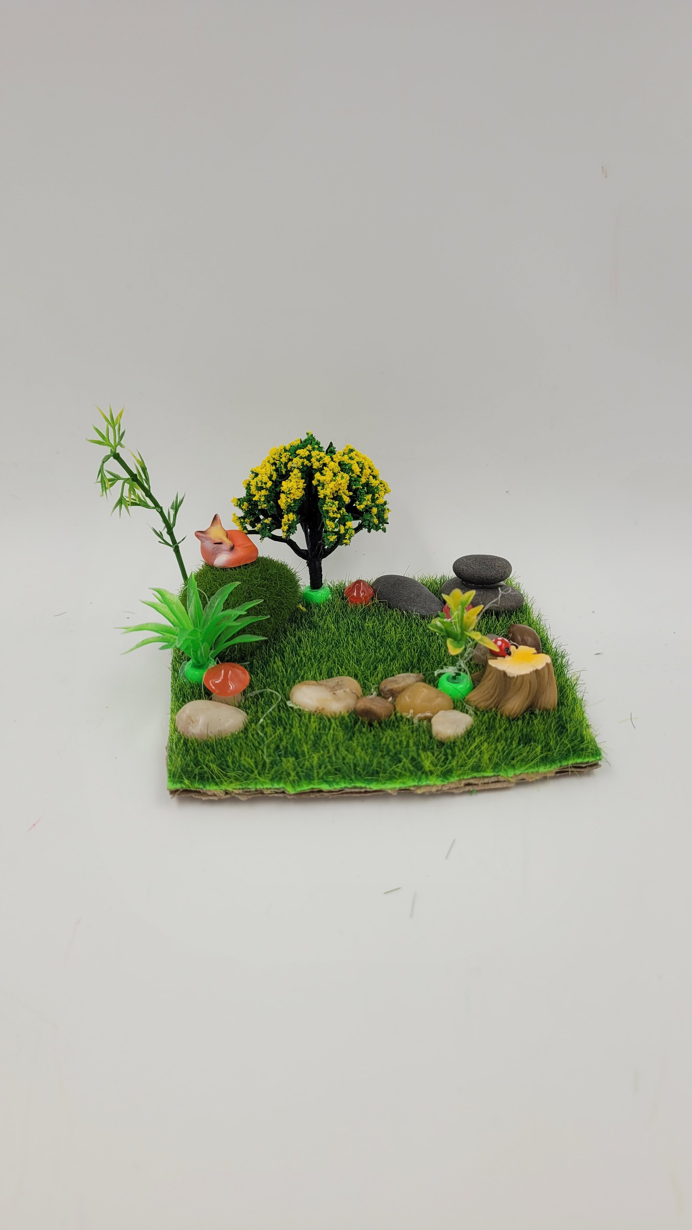 biodomehomes20260608_174419.jpg