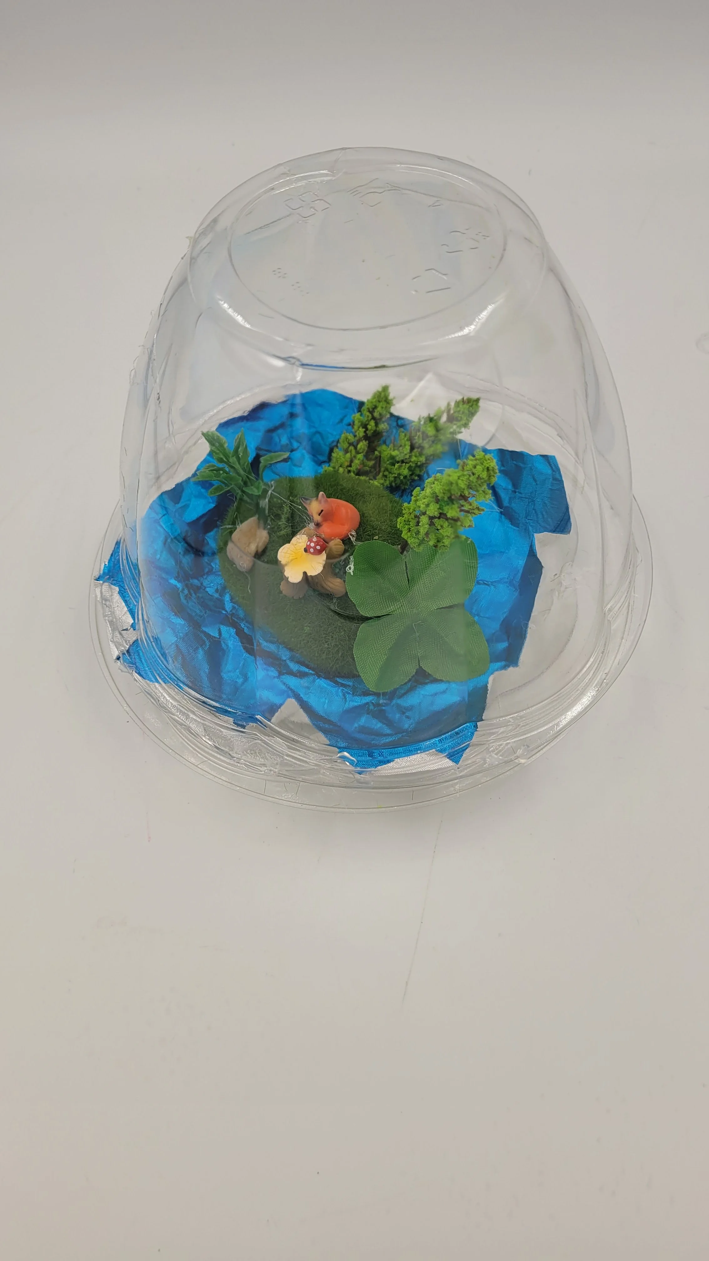 biodomehomes20260611_172210.jpg
