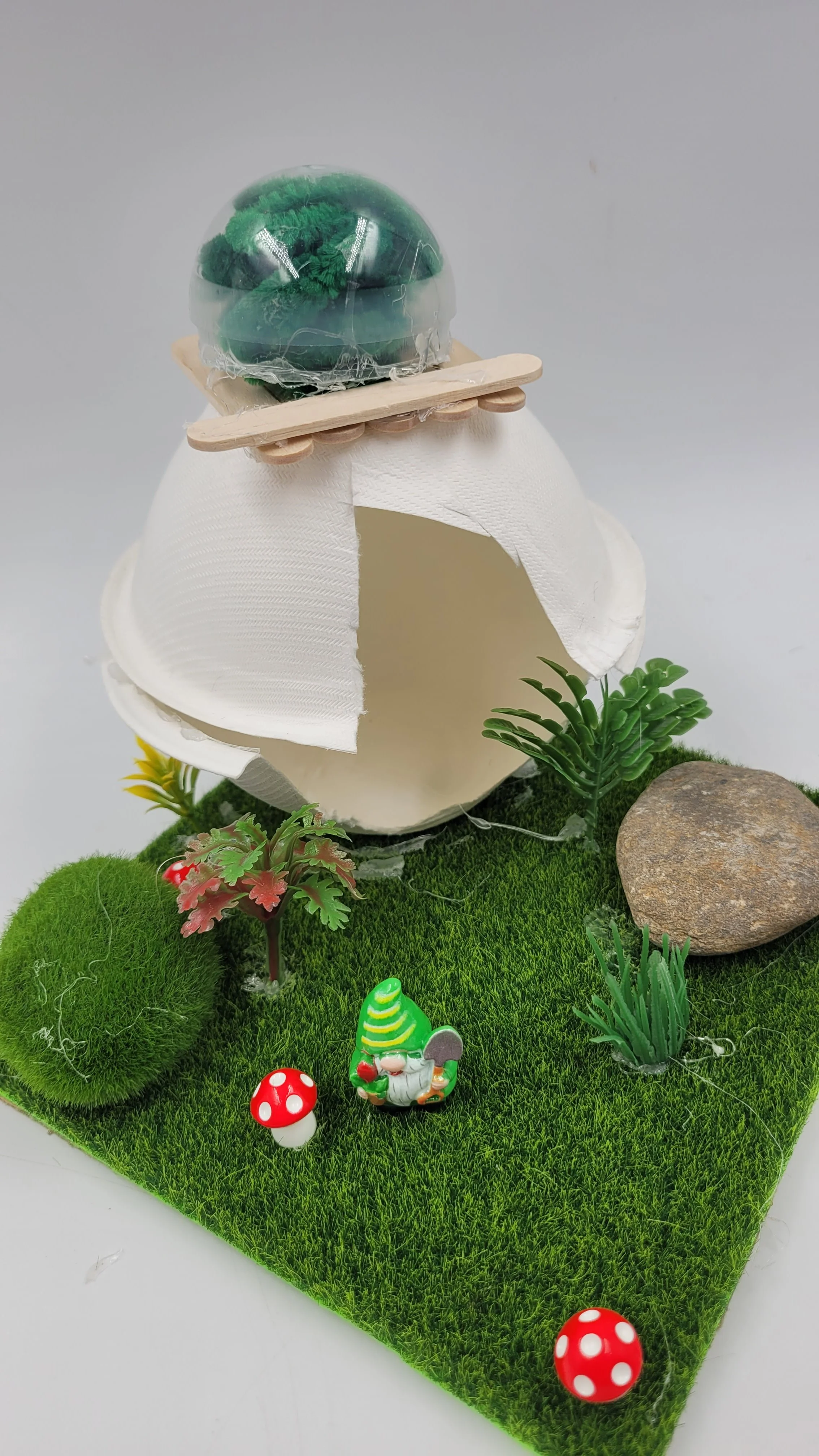 gnomegardens20260921_145838.jpg