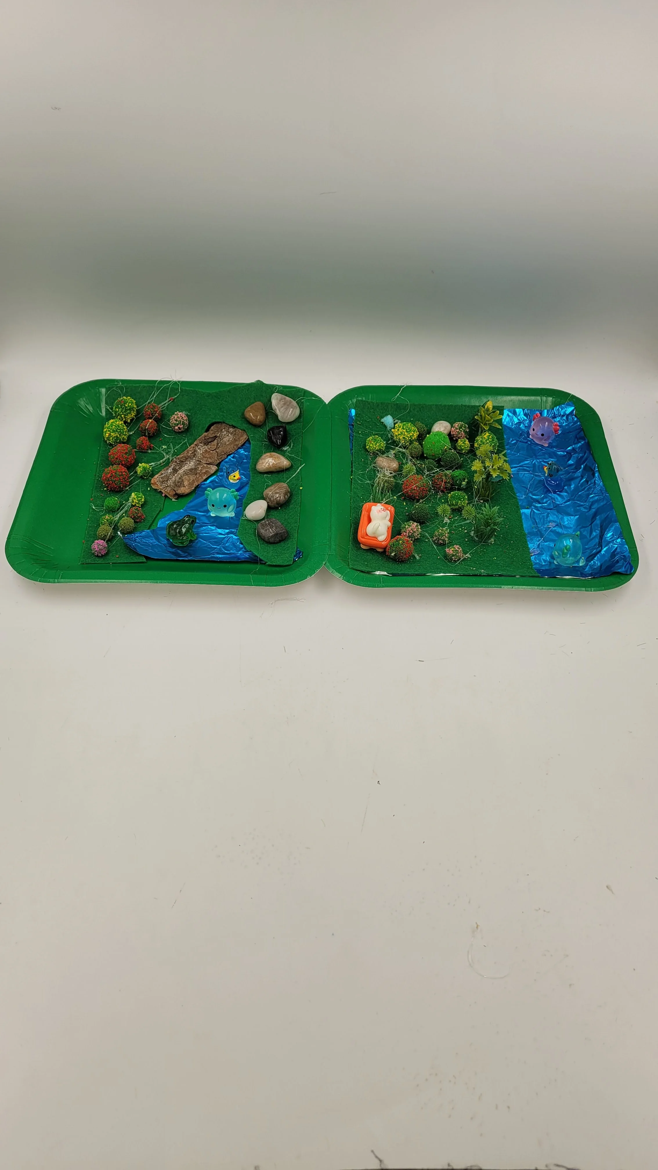 raingardens20261005_172418.jpg