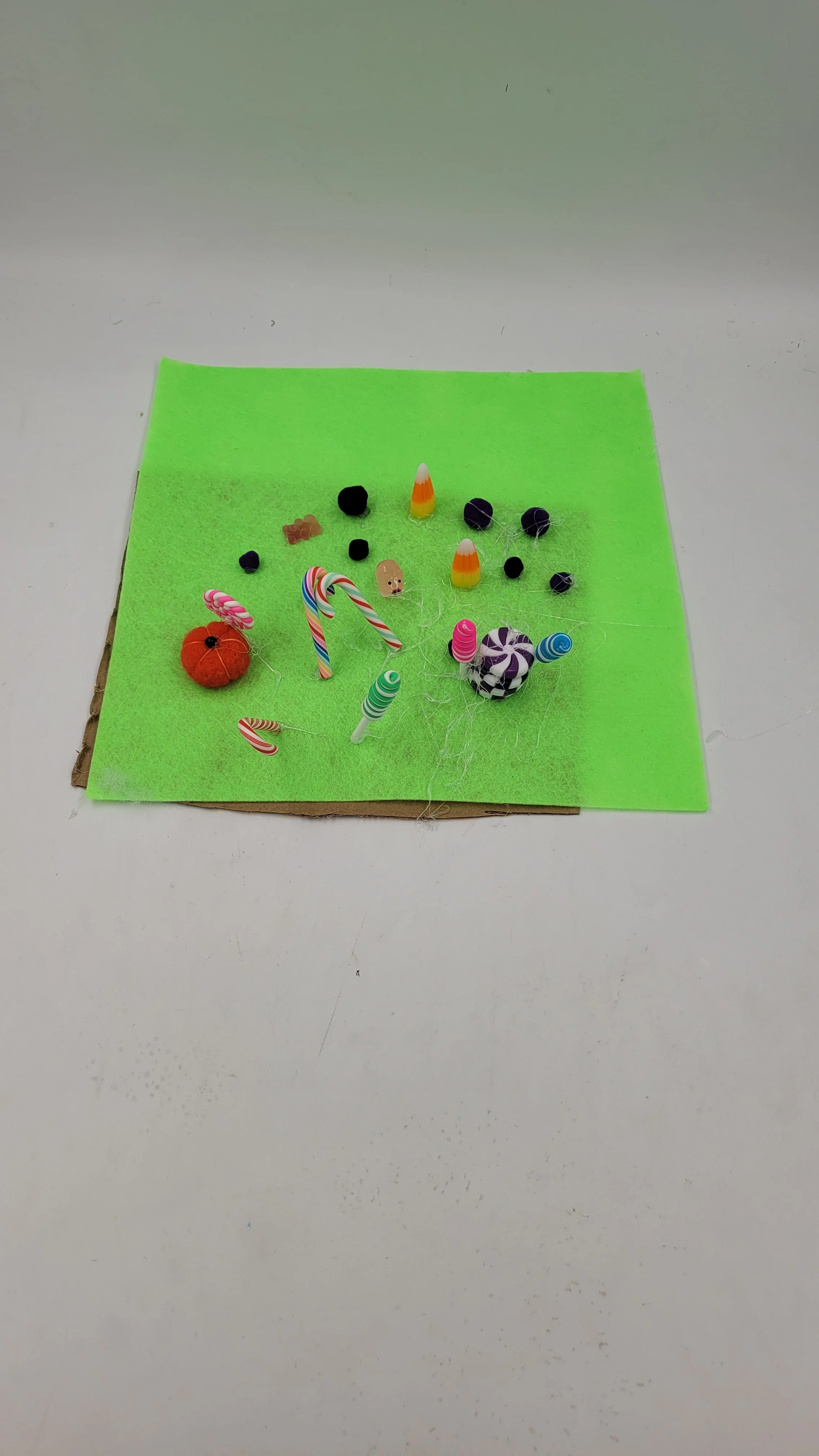 candylandfarms20261028_174005.jpg