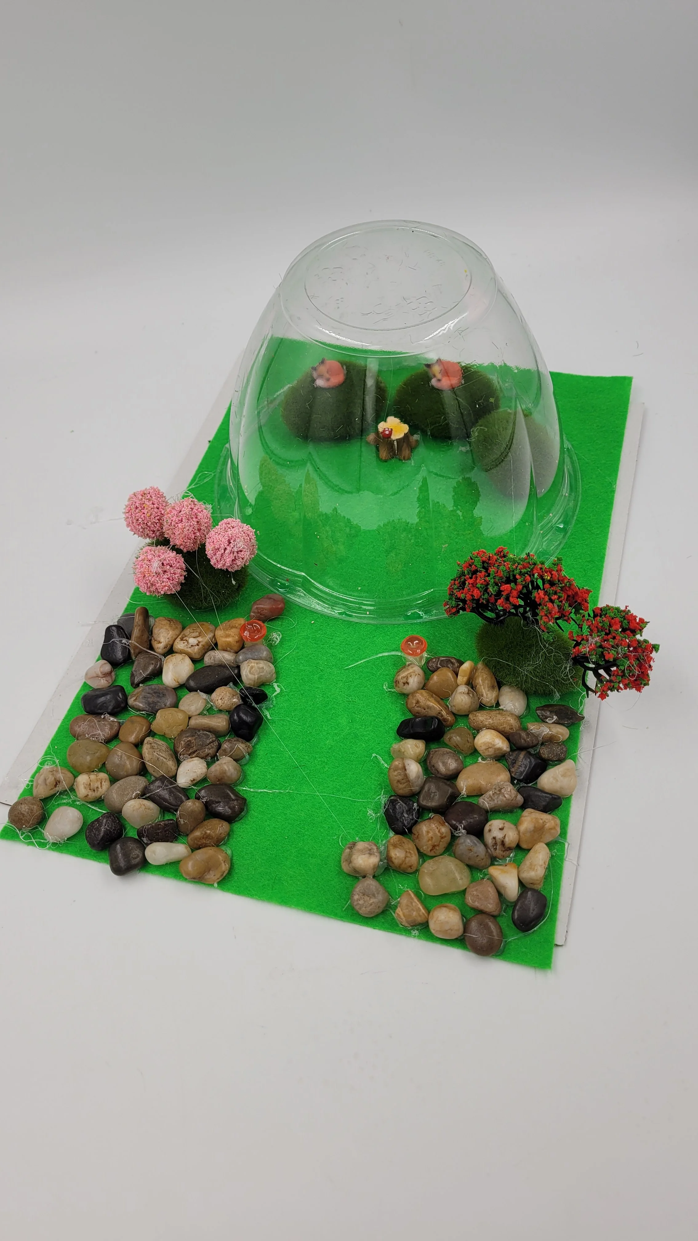 biodomehomes20260609_173956.jpg
