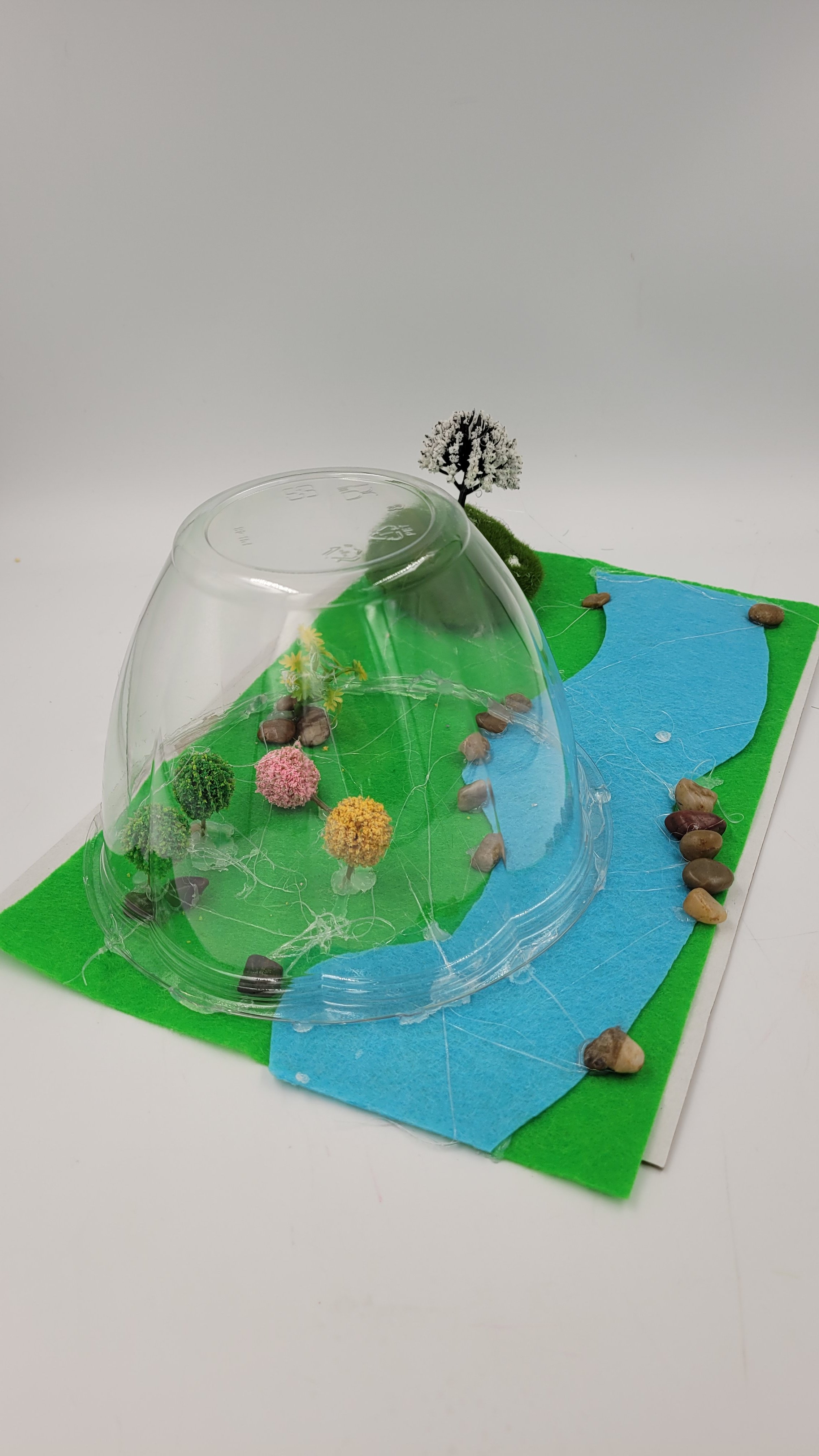 biodomehomes20260609_173317.jpg