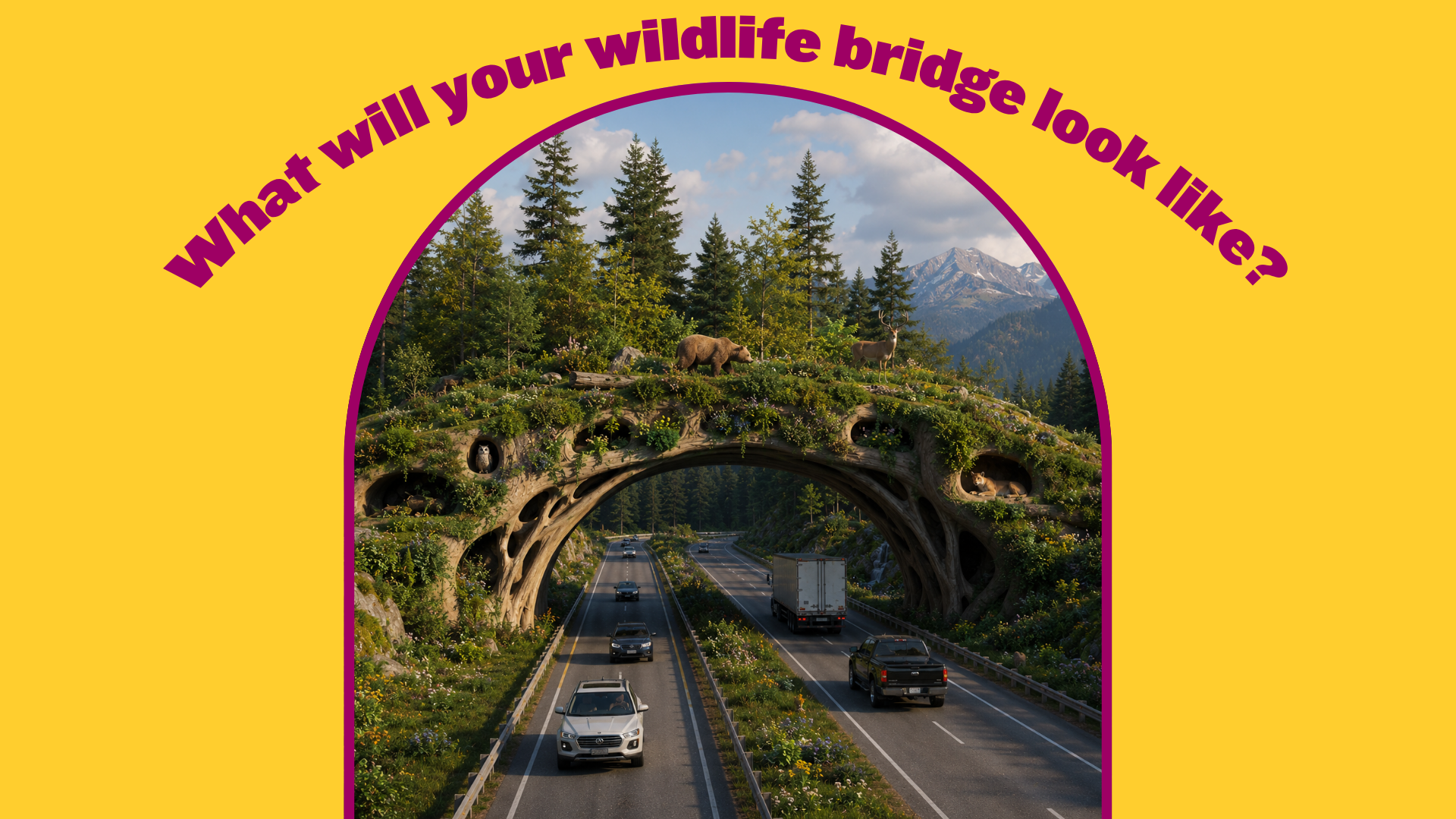 School Bundle FT Wildlife Bridges - learn 3.png