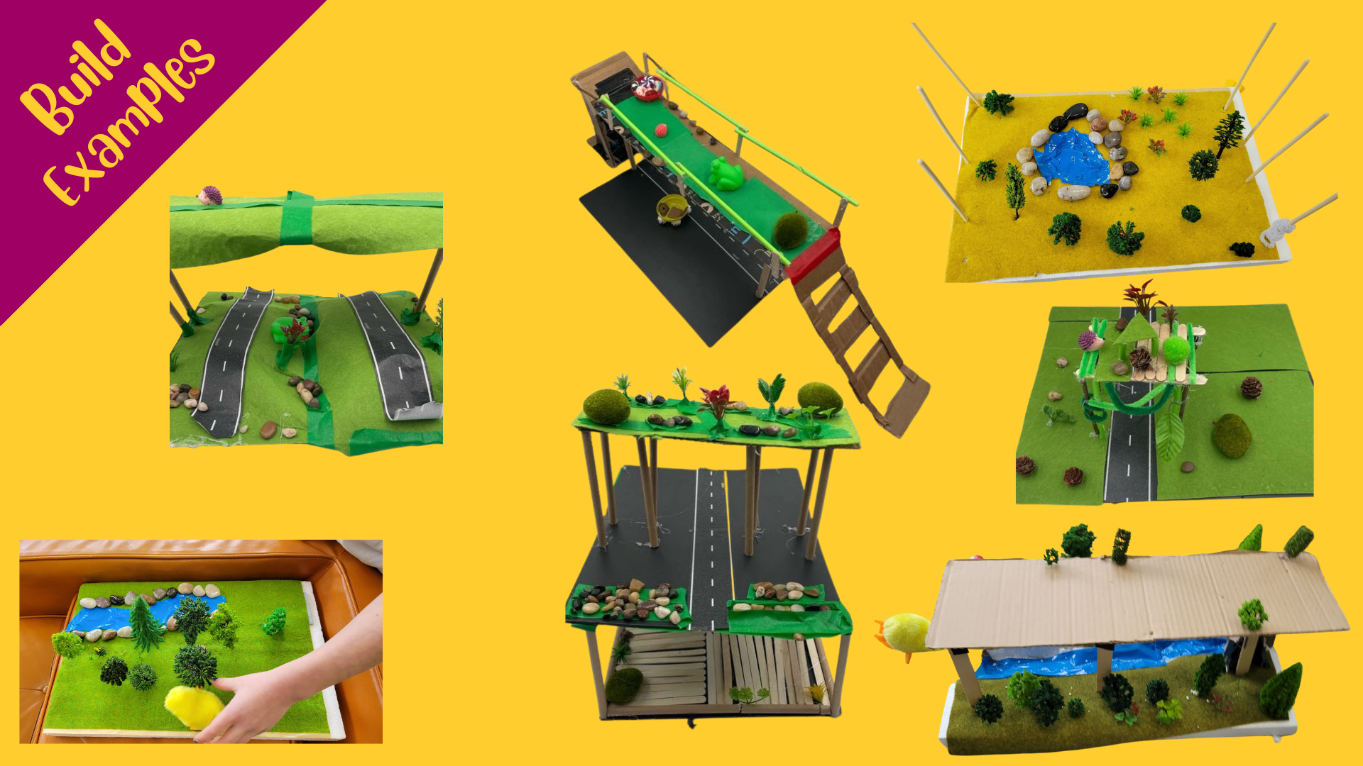 School Bundle FT Wildlife Bridges - learn 1.png