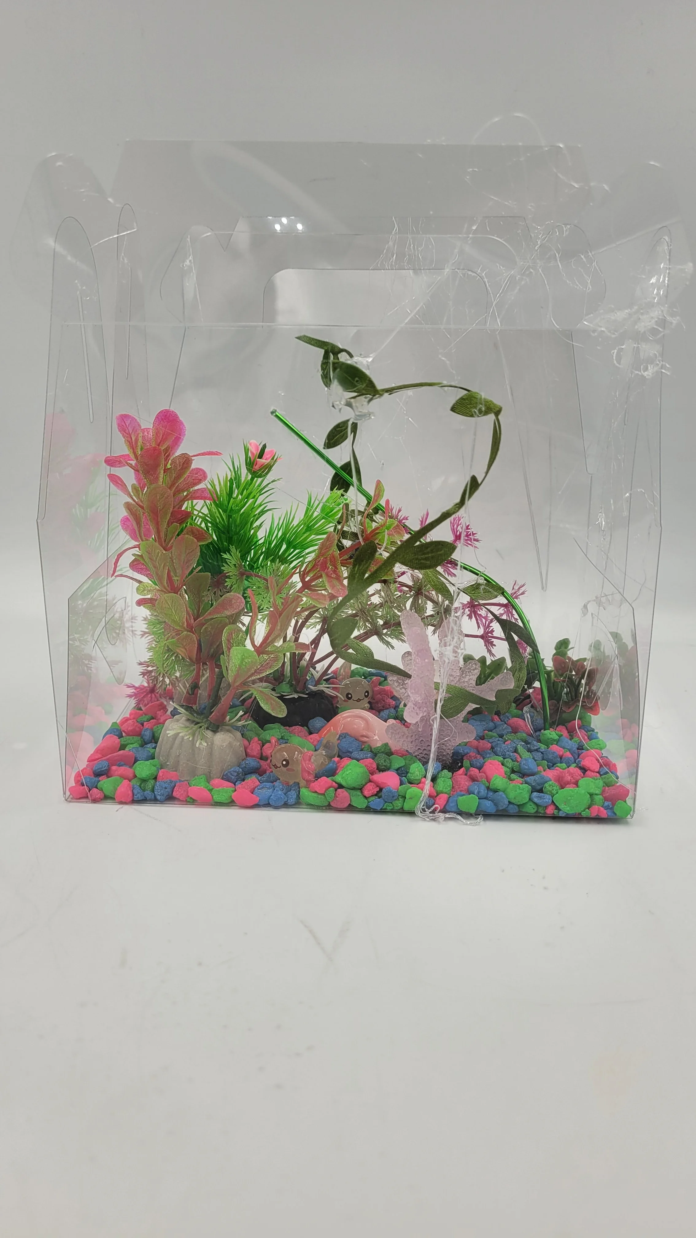 axolotlhabitats20260414_173249.jpg