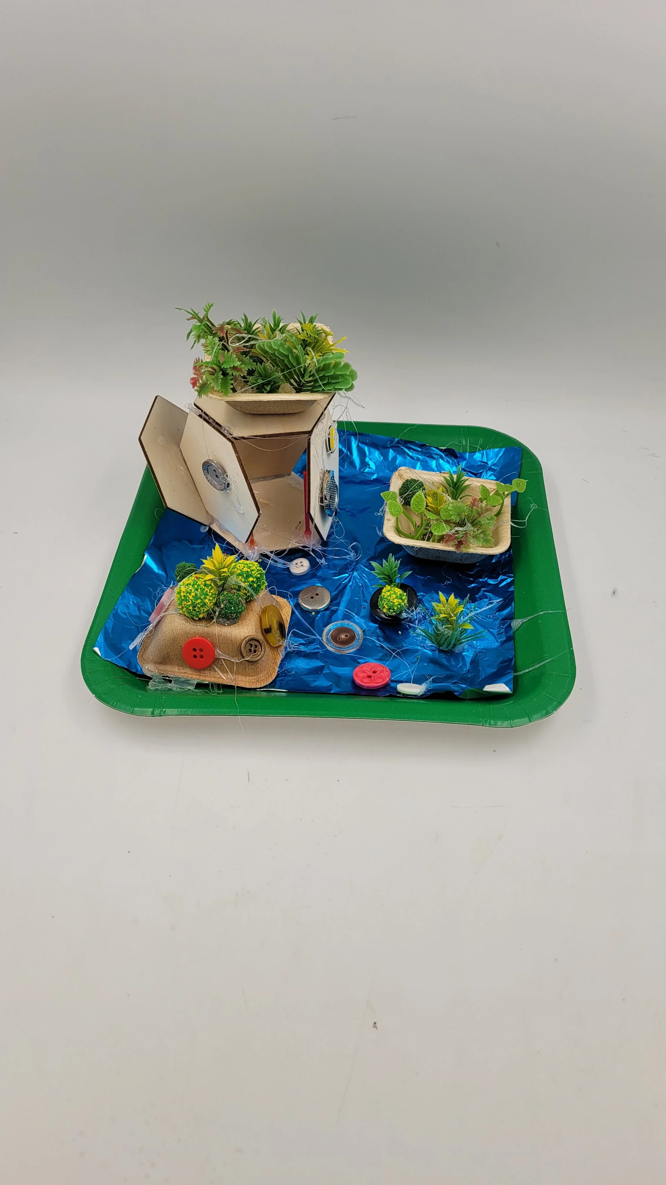 raingardens20261007_180051.jpg