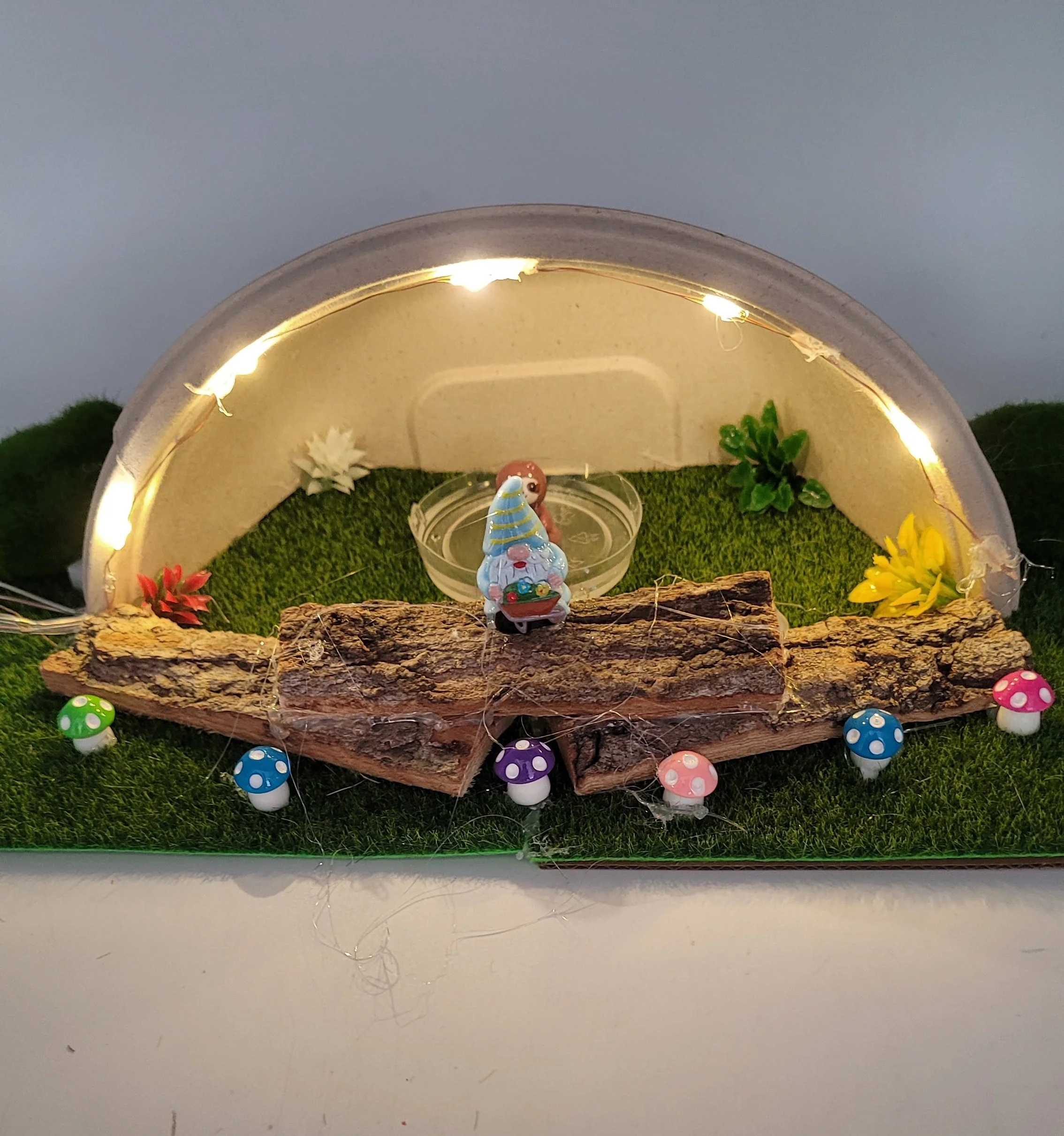 gnomegardens20260921_145353.jpg