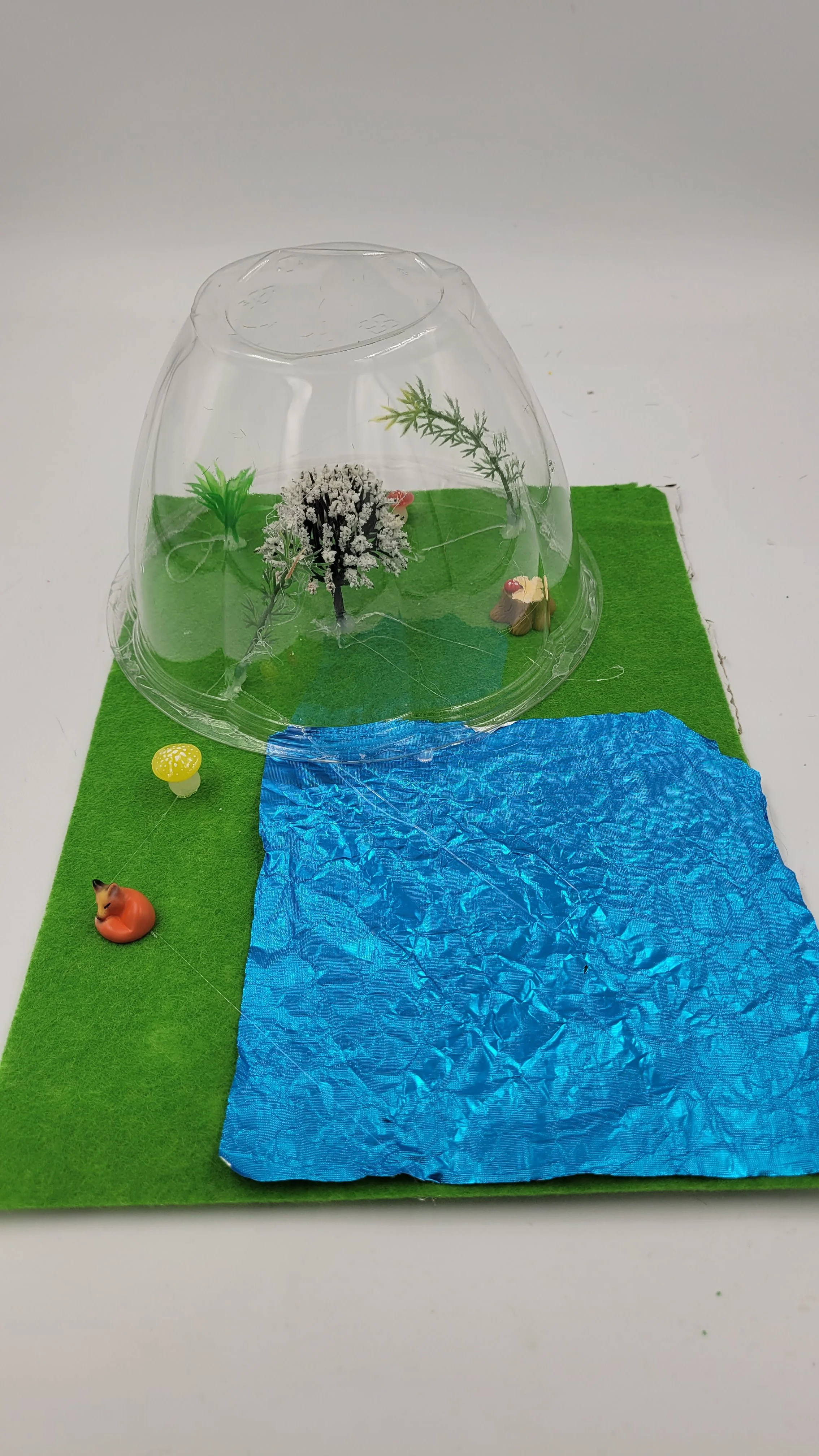 biodomehomes20260608_174946.jpg