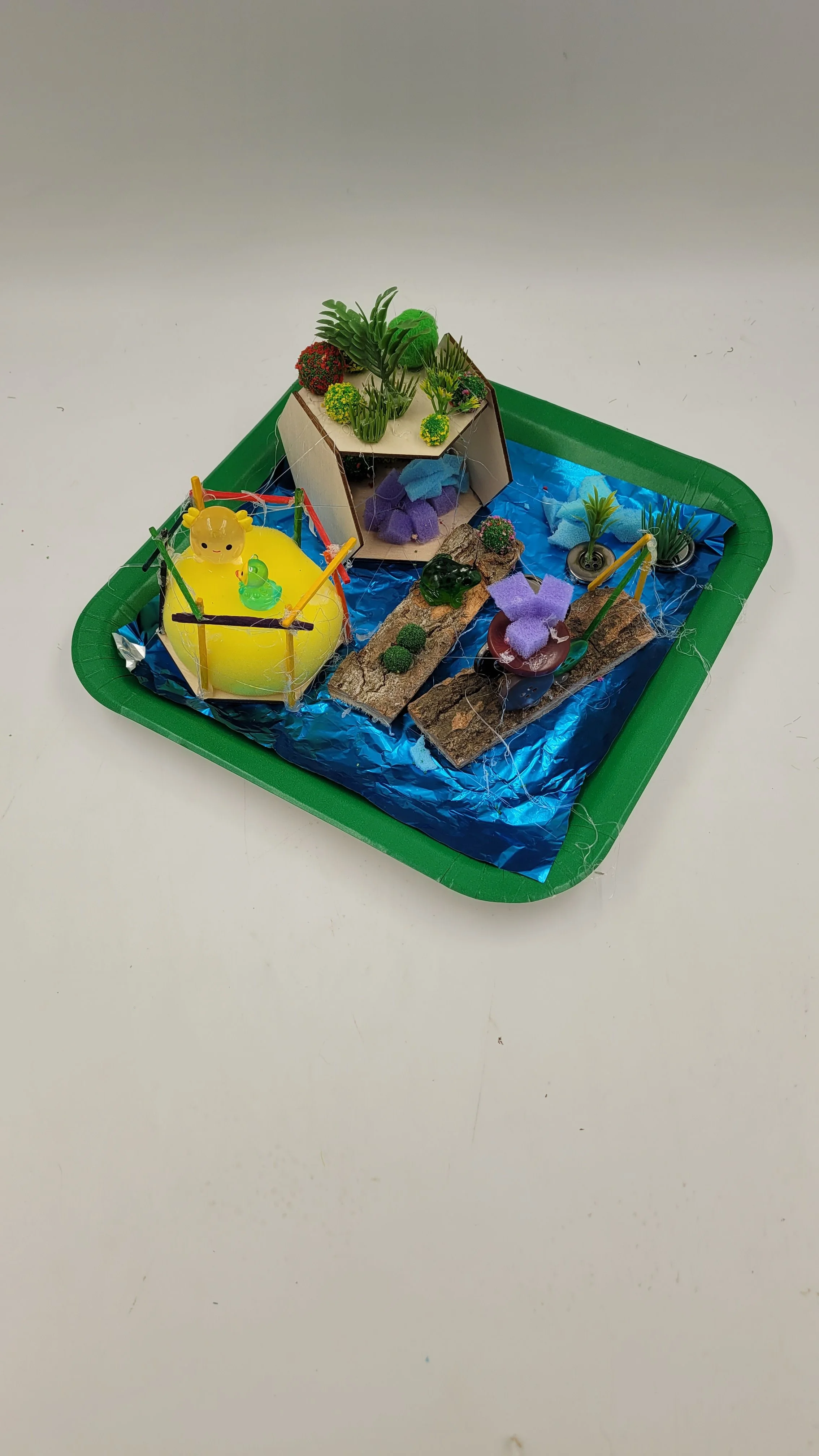 raingardens20261005_172826.jpg