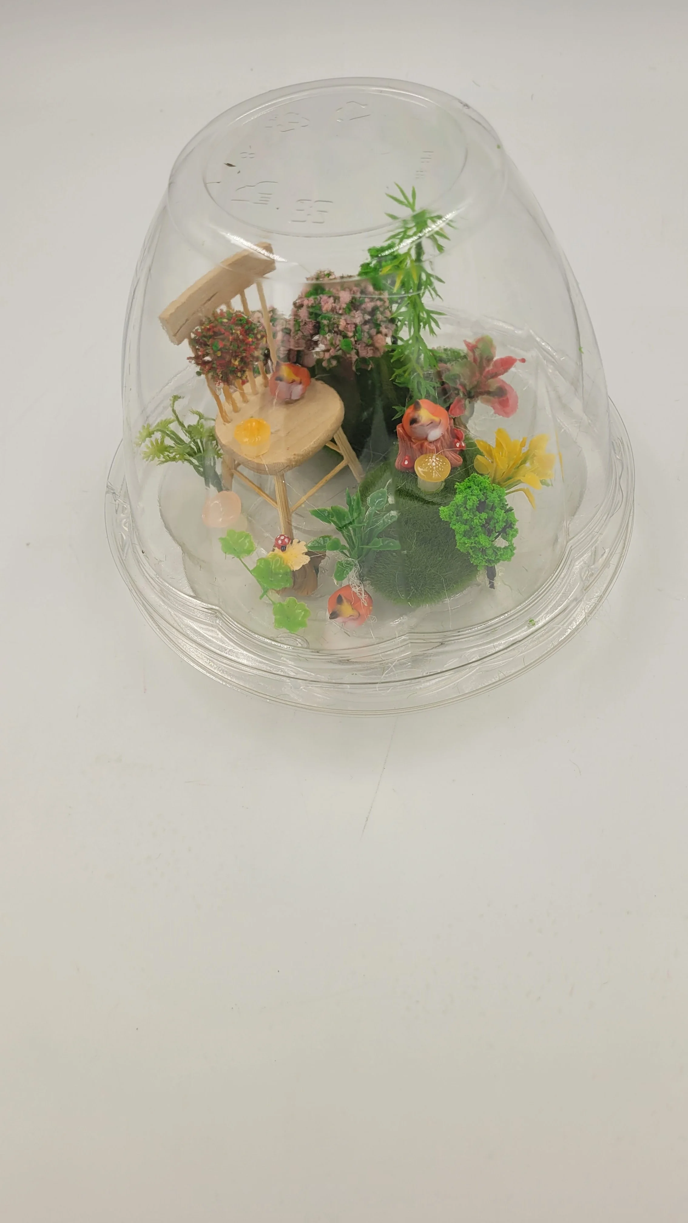 biodomehomes20260611_172535.jpg