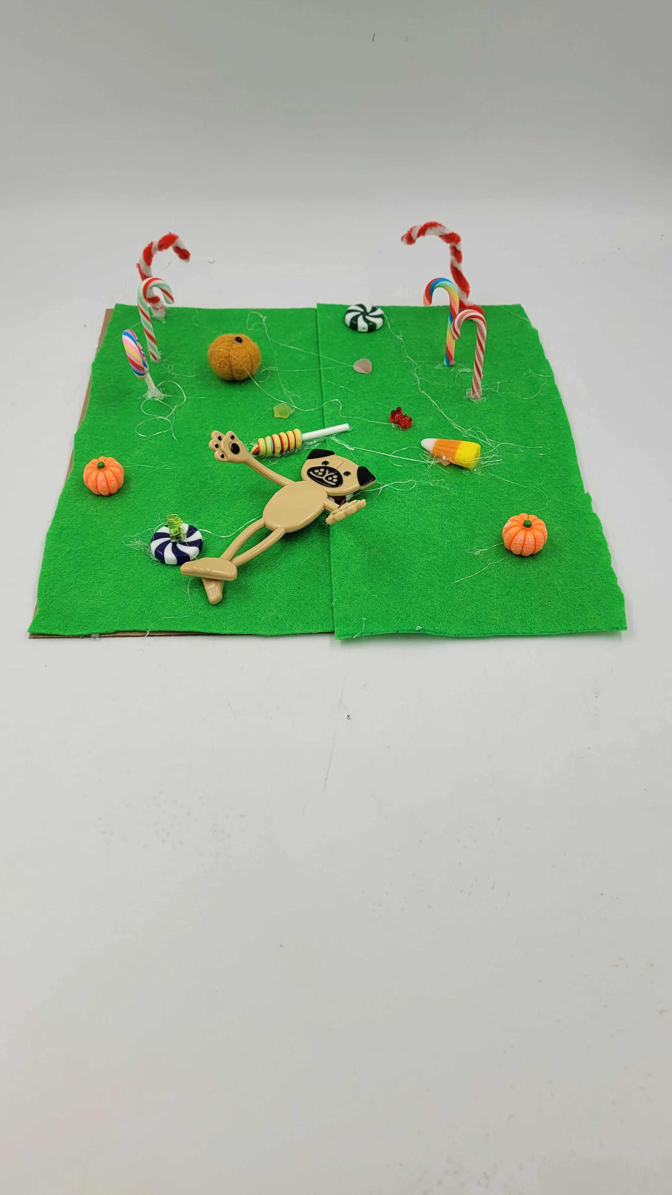 candylandfarms20261027_174659.jpg