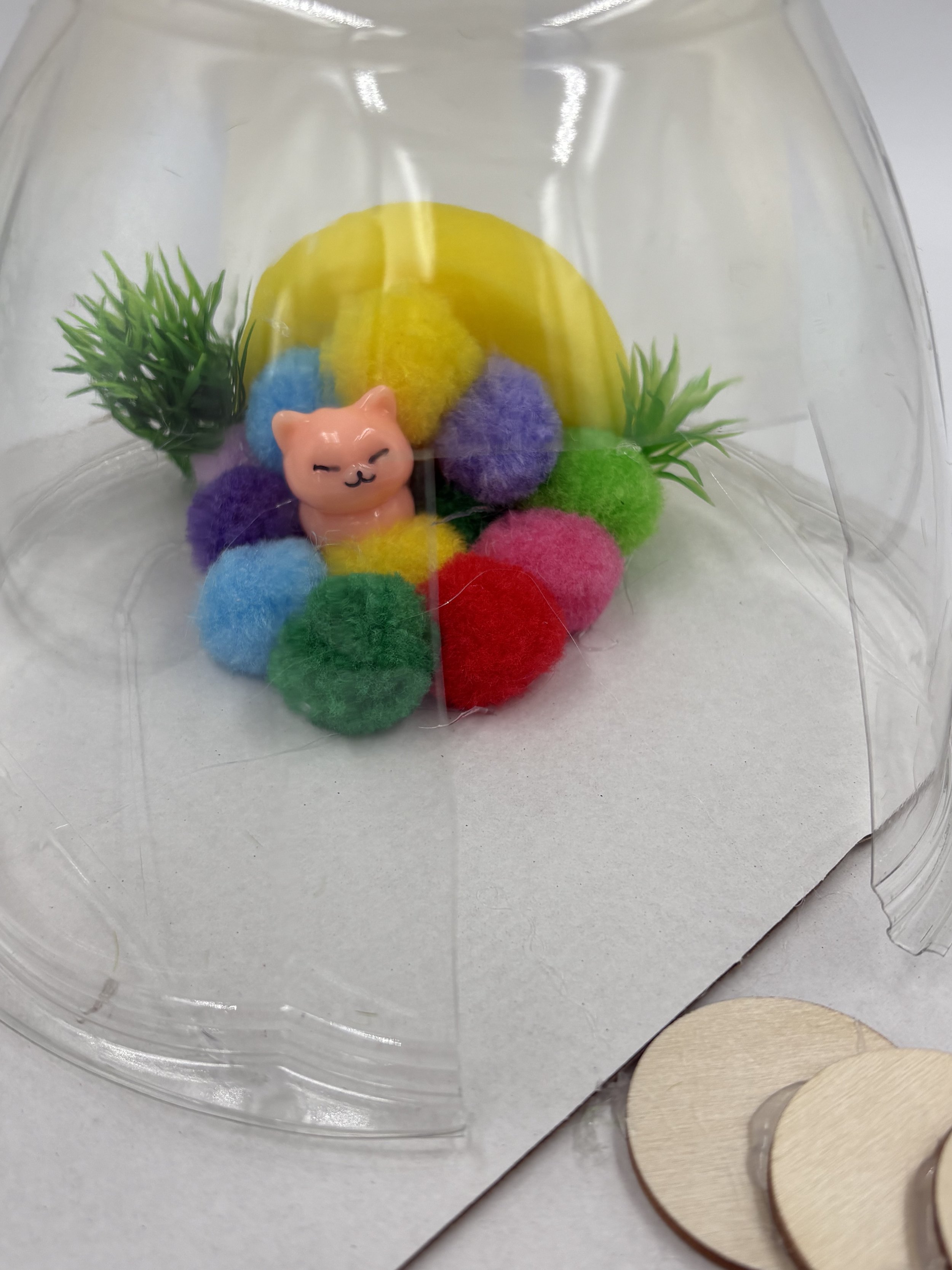 biodomehomesIMG_2782.jpeg