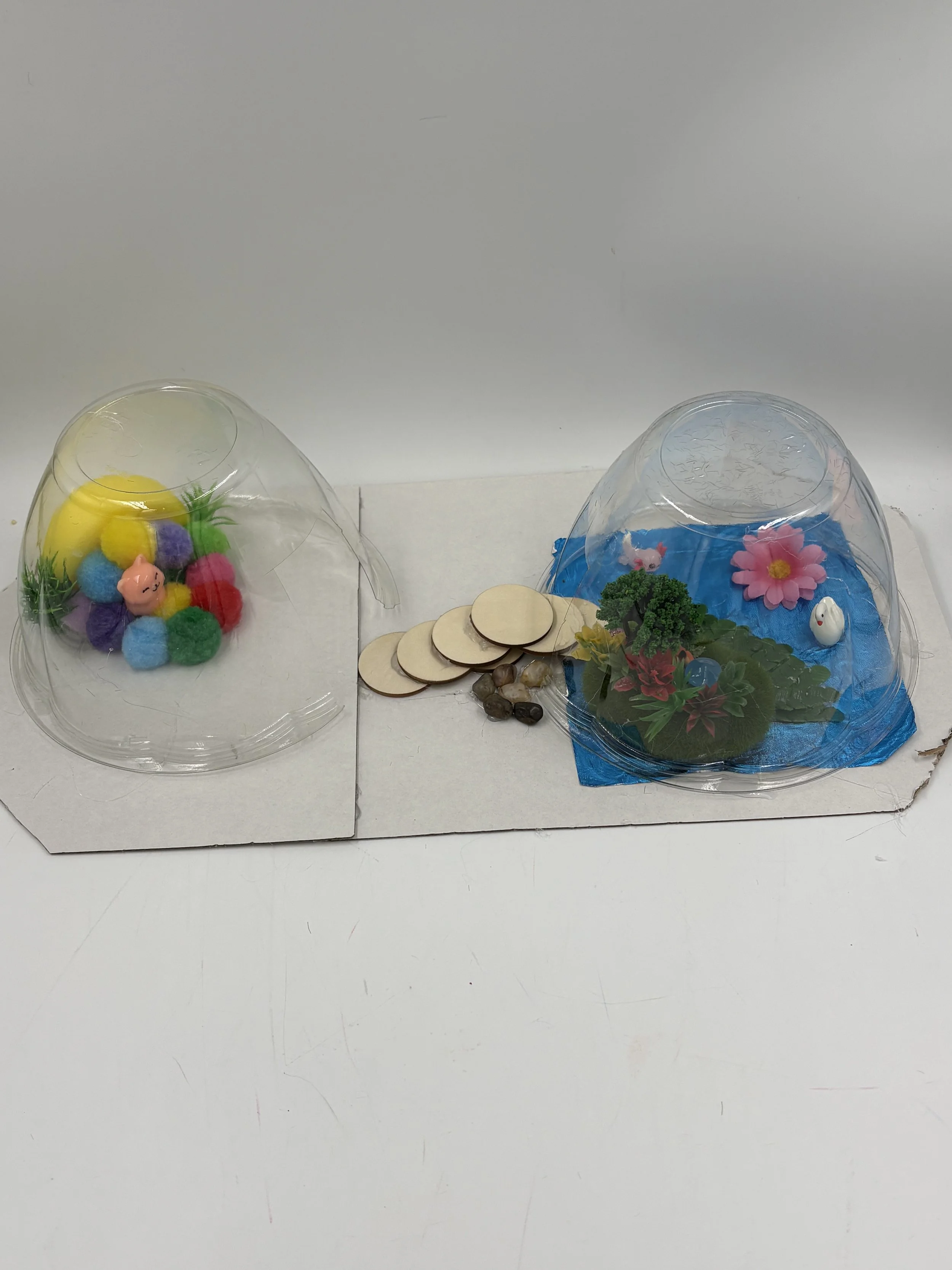 biodomehomesIMG_2780.jpeg